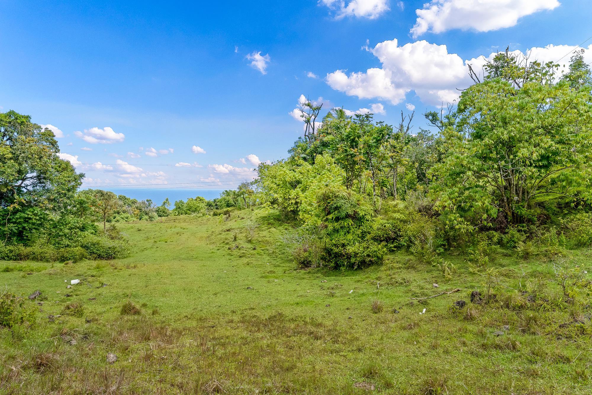 973 Hana Hwy  Hana, Hi vacant land for sale - photo 31 of 37