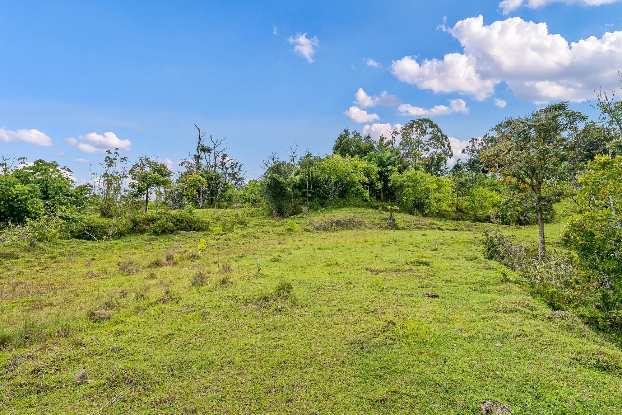 973 Hana Hwy  Hana, Hi vacant land for sale - photo 33 of 37