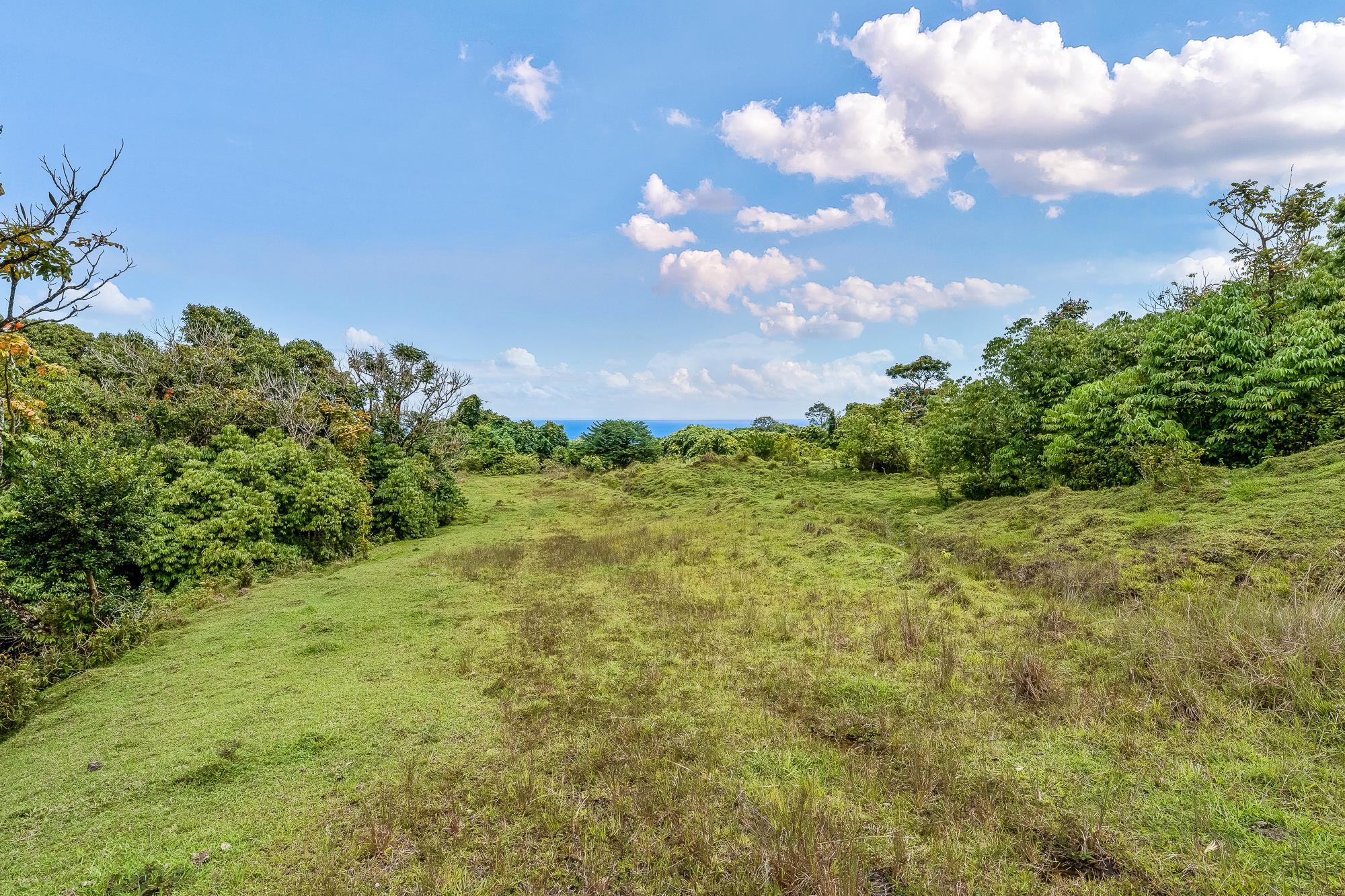 973 Hana Hwy  Hana, Hi vacant land for sale - photo 34 of 37