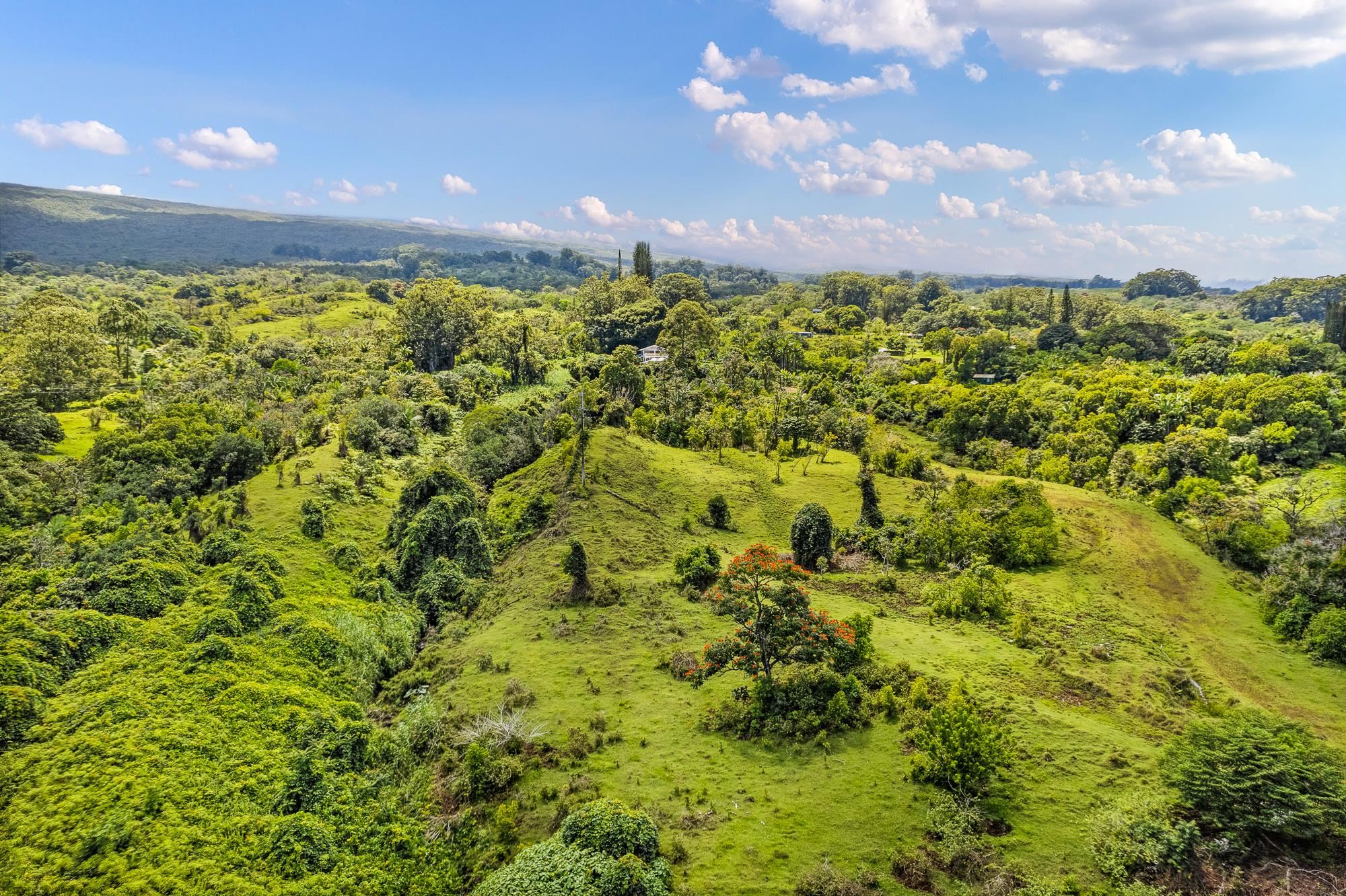 973 Hana Hwy  Hana, Hi vacant land for sale - photo 35 of 37