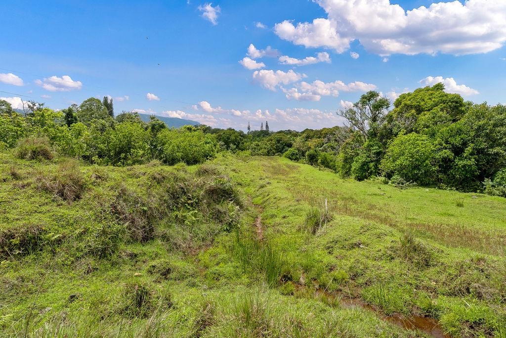 973 Hana Hwy  Hana, Hi vacant land for sale - photo 6 of 37