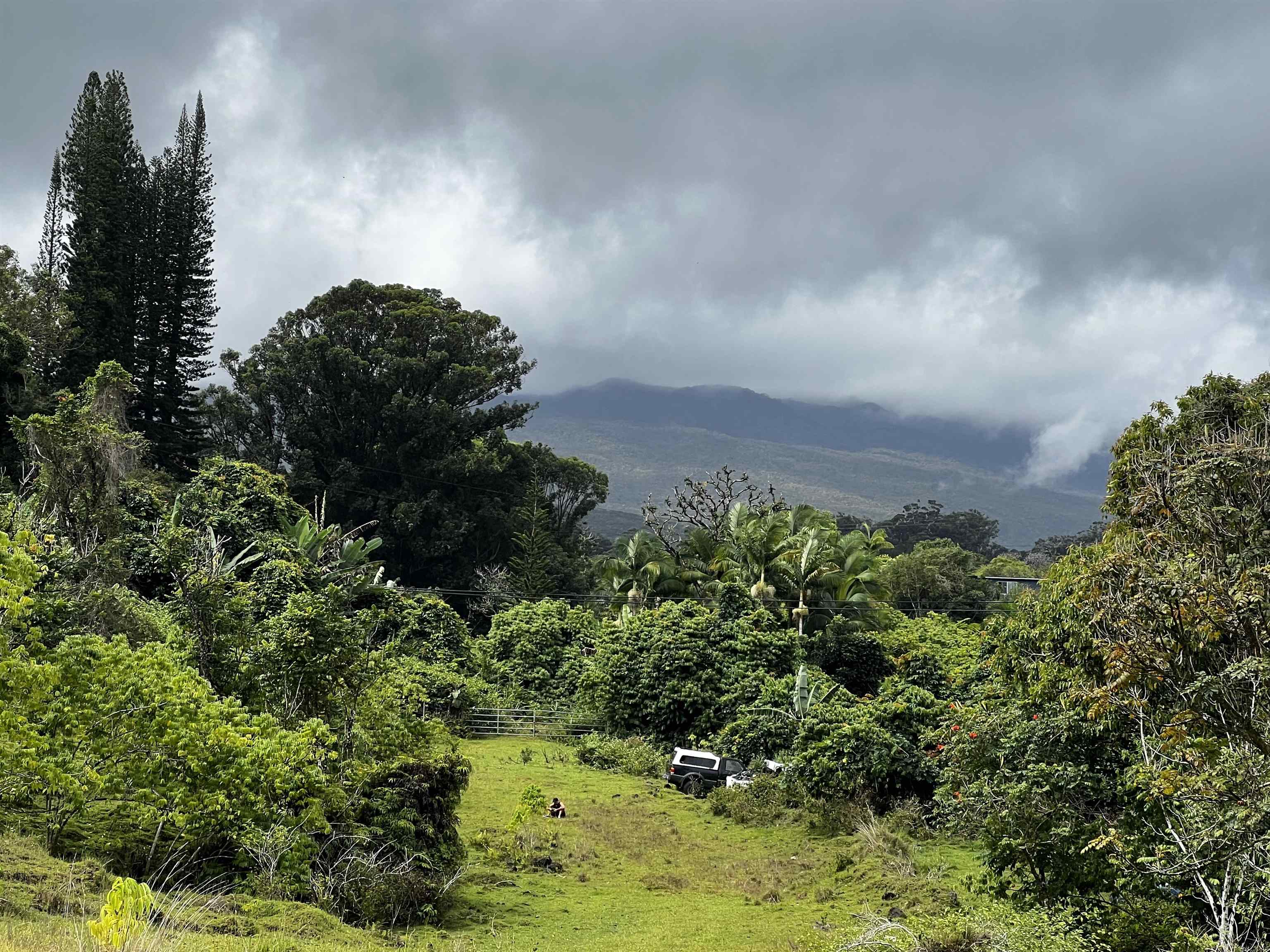 973 Hana Hwy  Hana, Hi vacant land for sale - photo 10 of 37