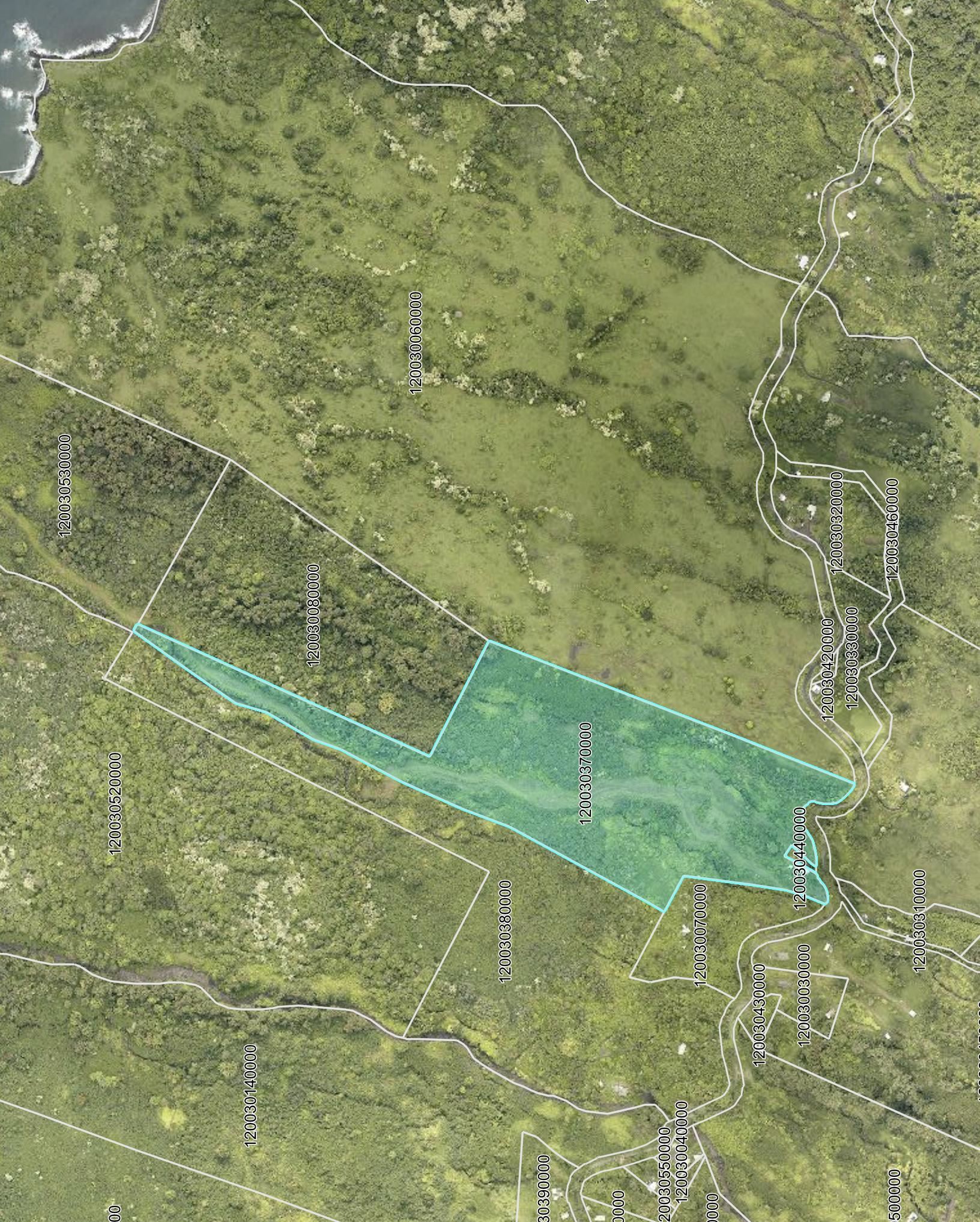 973 Hana Hwy   - photo 15 of 17