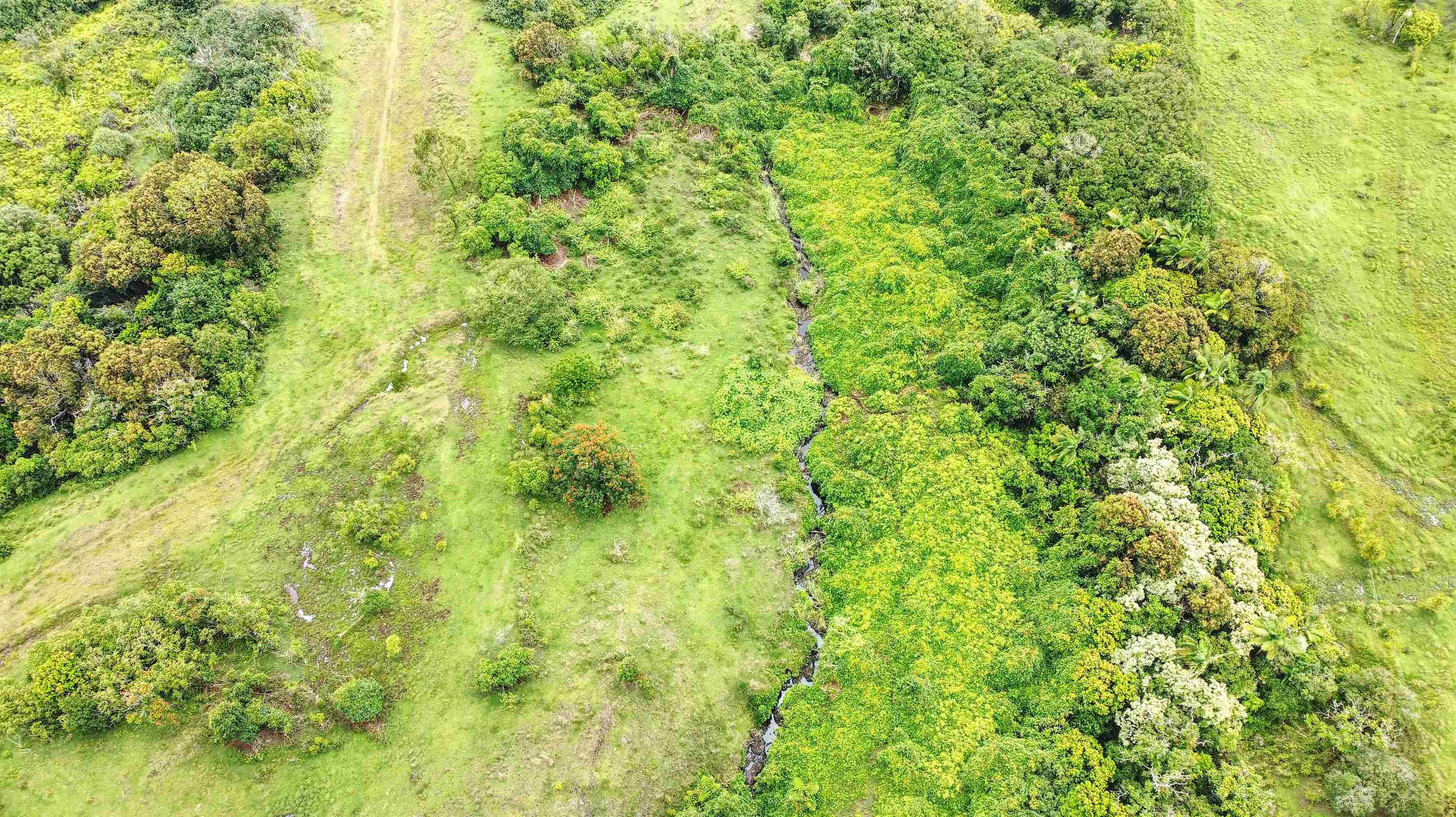 973 Hana Hwy   - photo 4 of 17