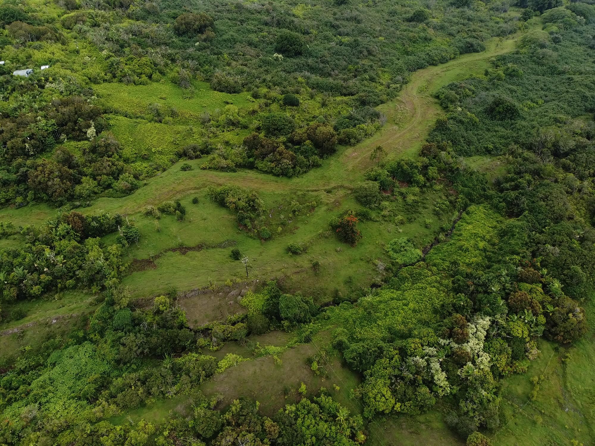 973 Hana Hwy   - photo 5 of 17