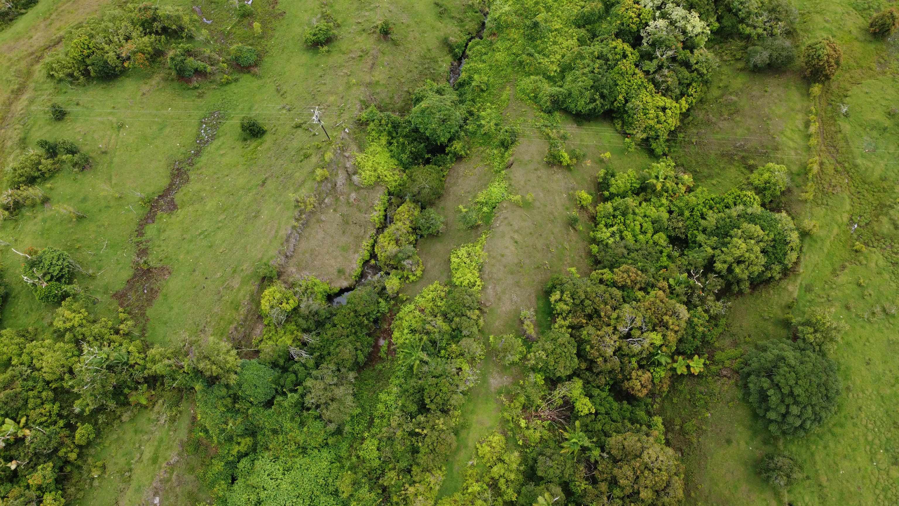 973 Hana Hwy   - photo 6 of 17