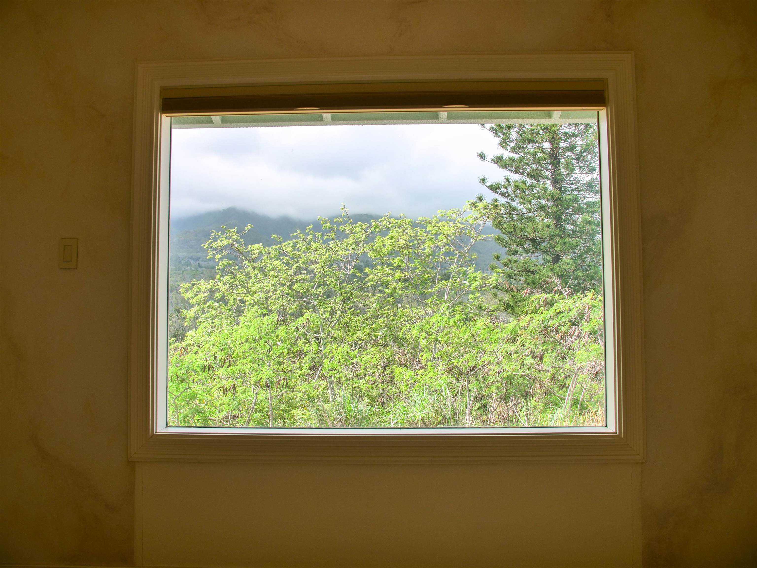 974  Lekeona Loop , Wailuku home - photo 19 of 50