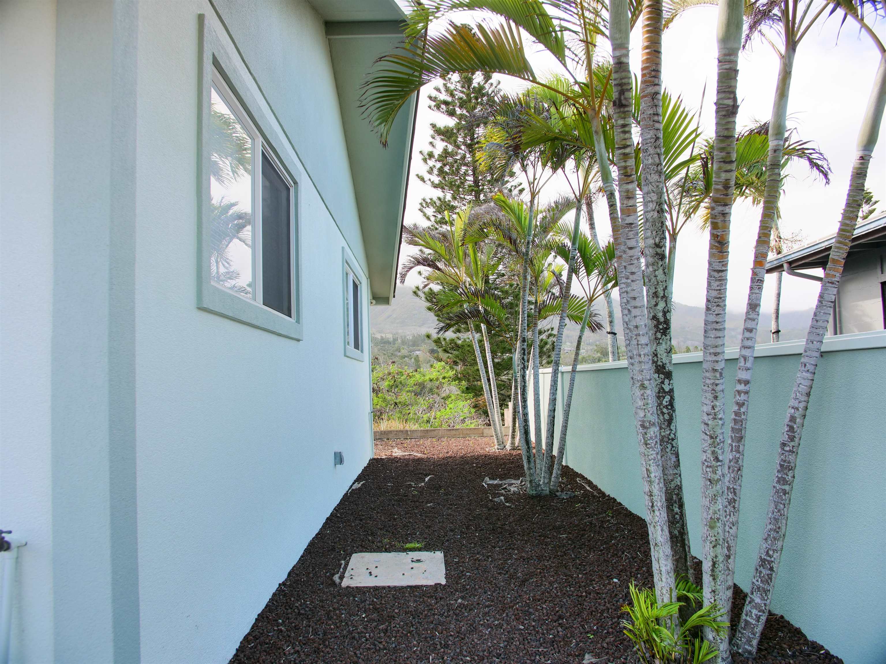 974  Lekeona Loop , Wailuku home - photo 40 of 50