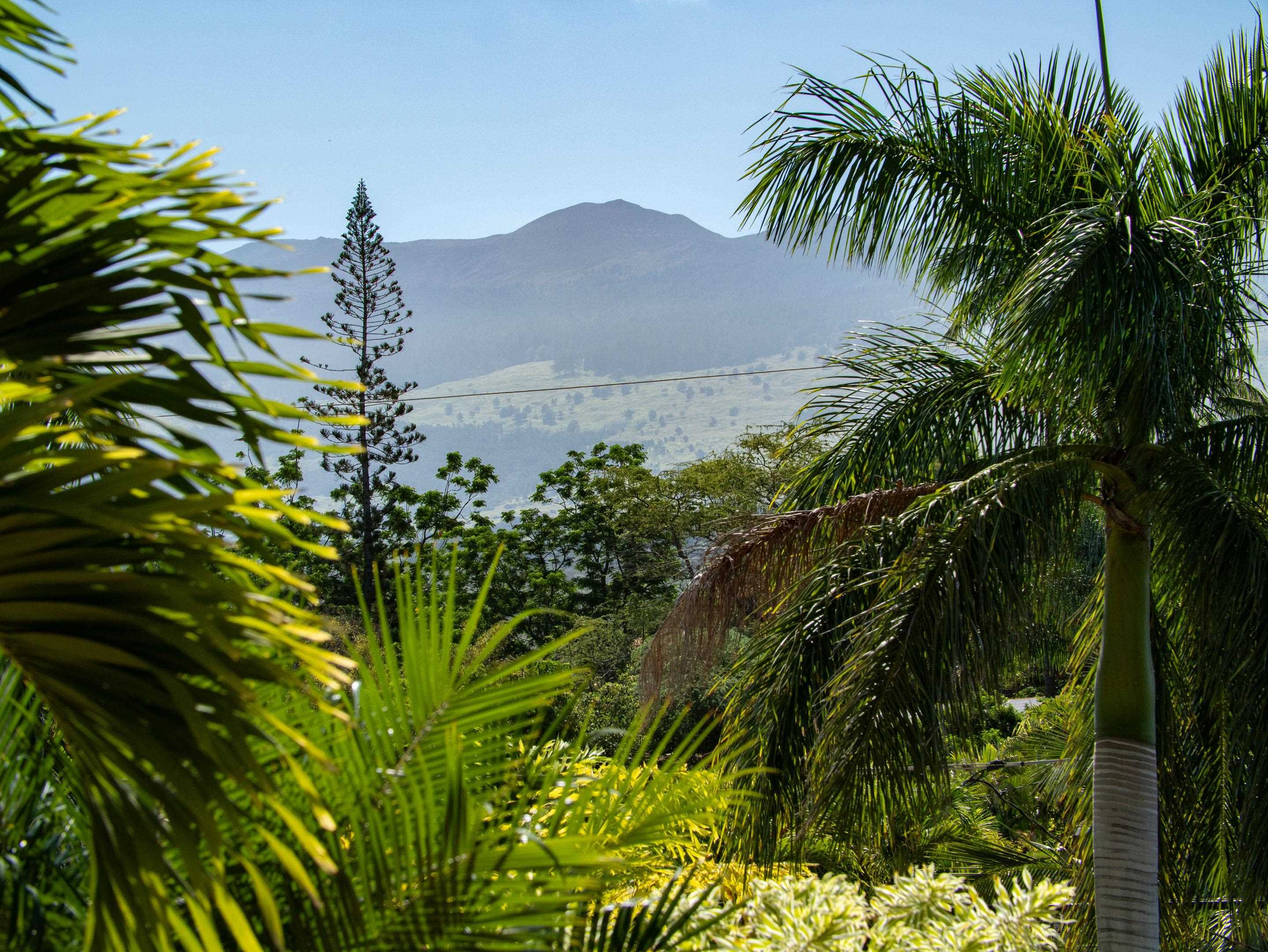 978  Kupulau Dr South Maui, Maui Meadows home - photo 47 of 49