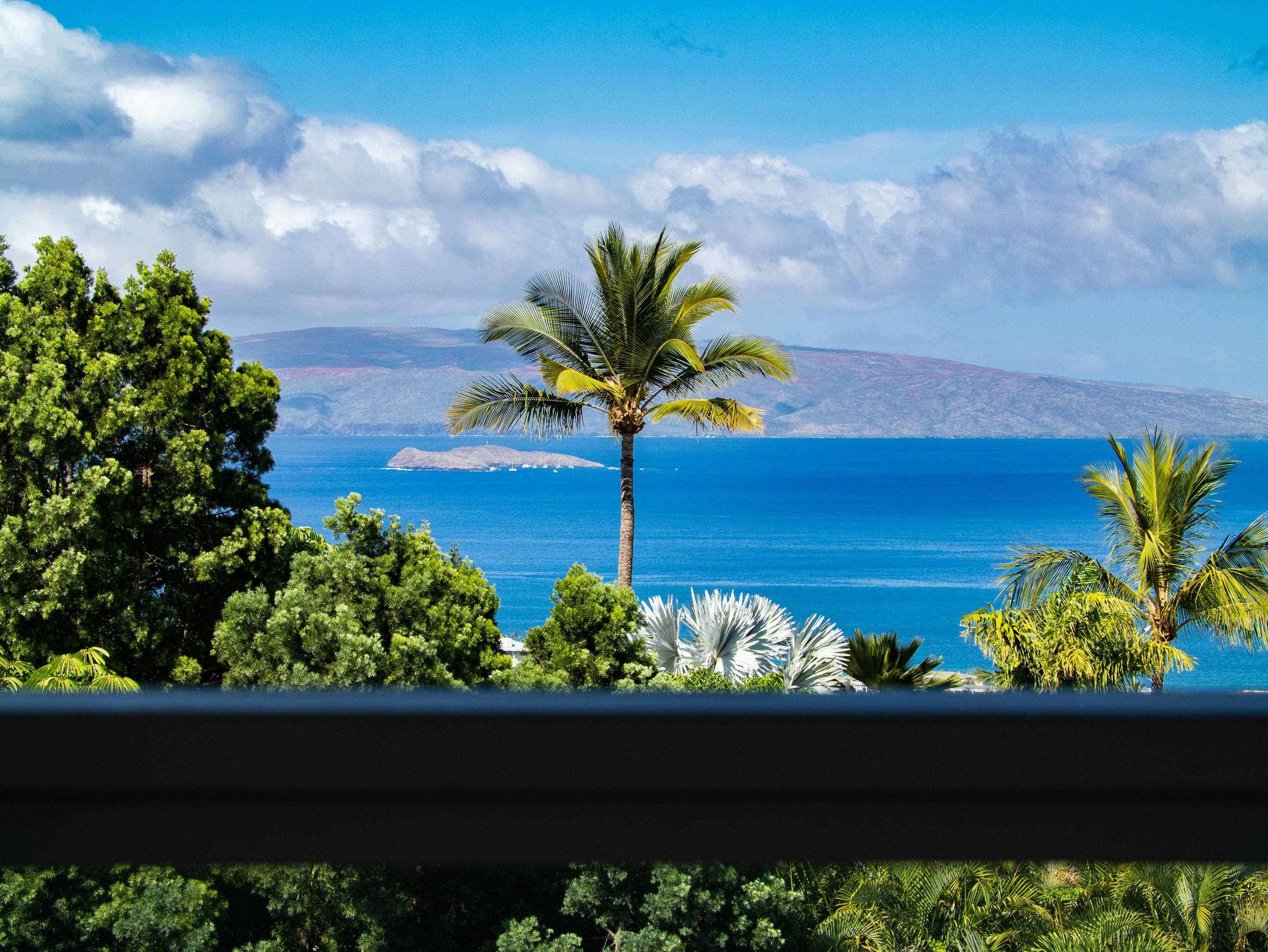 978  Kupulau Dr South Maui, Maui Meadows home - photo 9 of 49