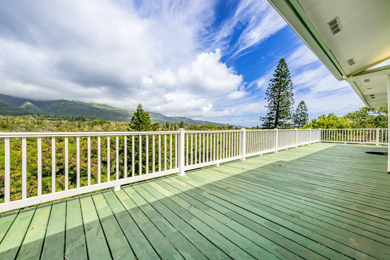 978  Lekeona Loop , Wailuku home - photo 33 of 40