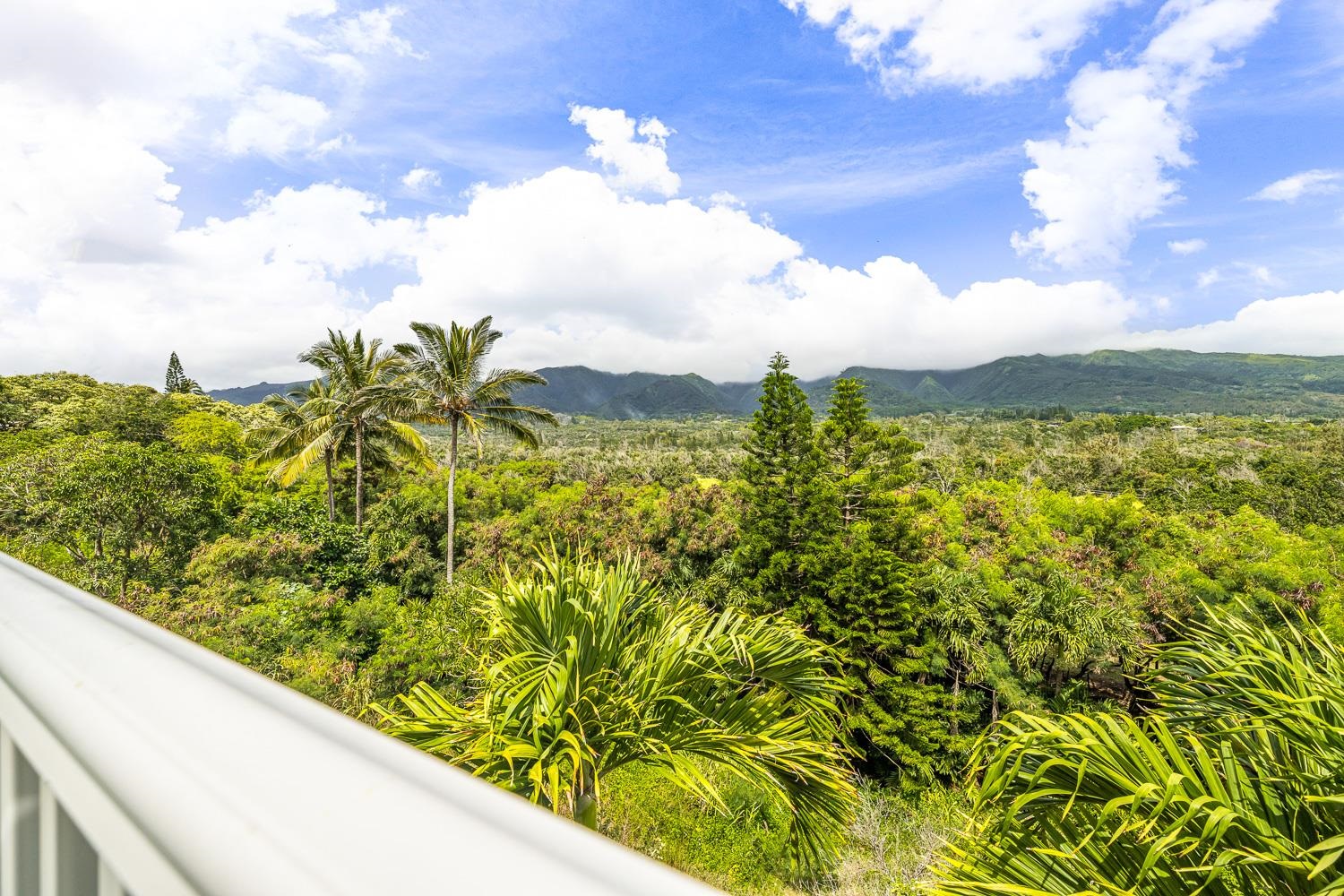978  Lekeona Loop , Wailuku home - photo 35 of 40