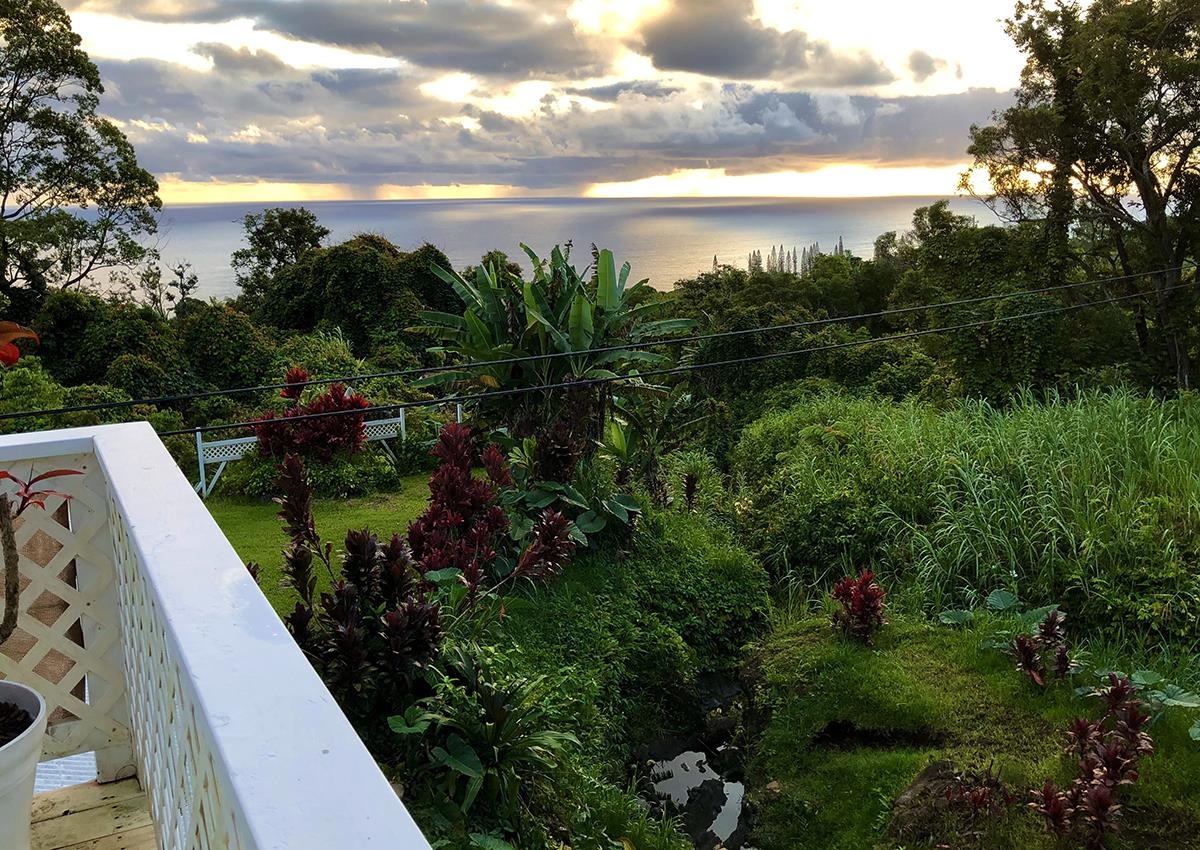 979  Hana Hwy Hana, Hana home - photo 33 of 34