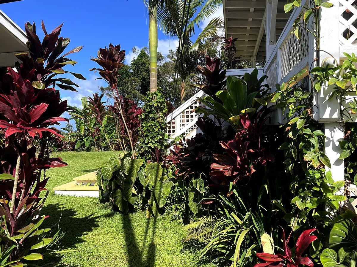 979  Hana Hwy Hana, Hana home - photo 5 of 34