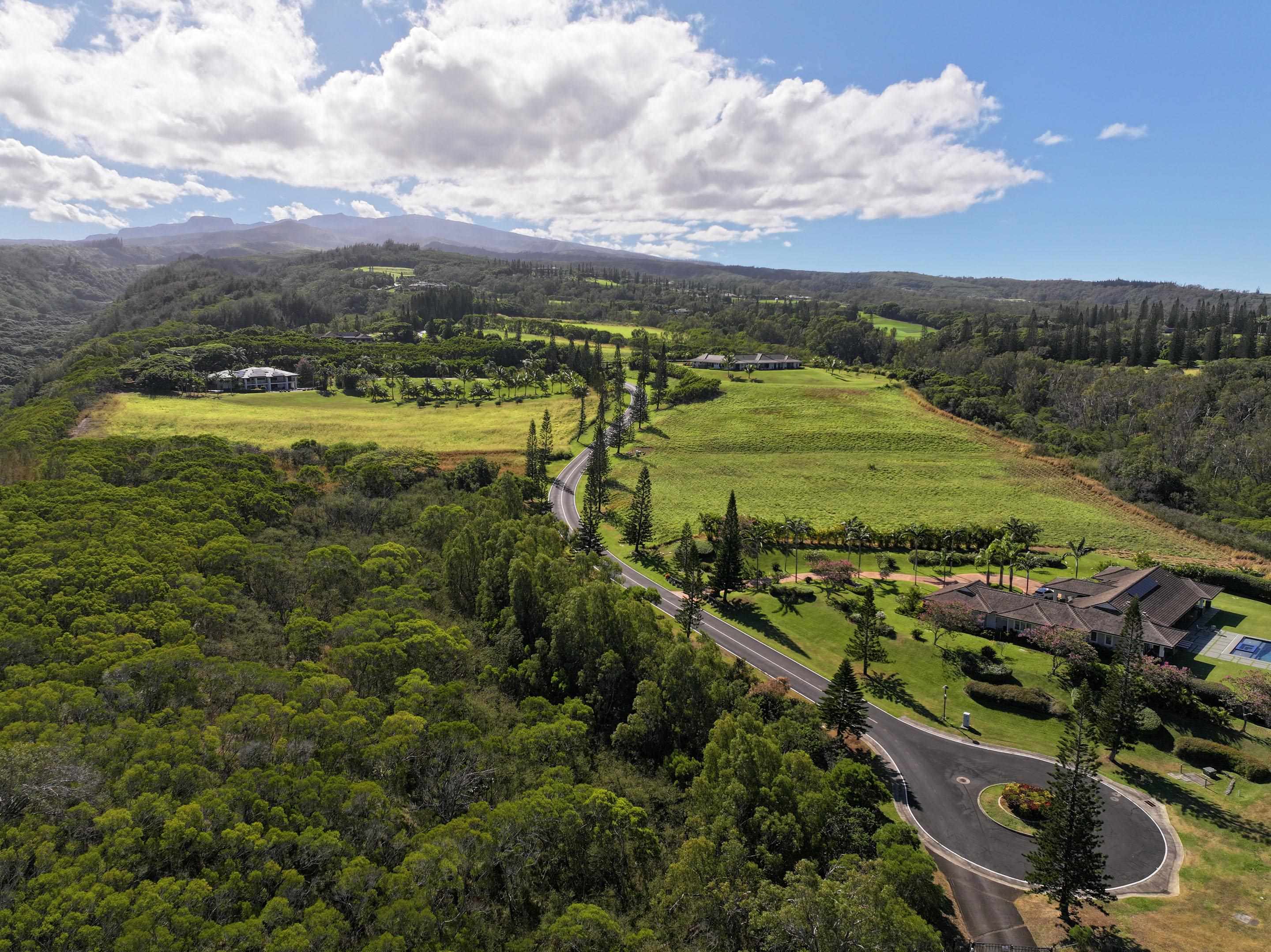 98 Keoawa Pl 8 Lahaina, Hi vacant land for sale - photo 14 of 44