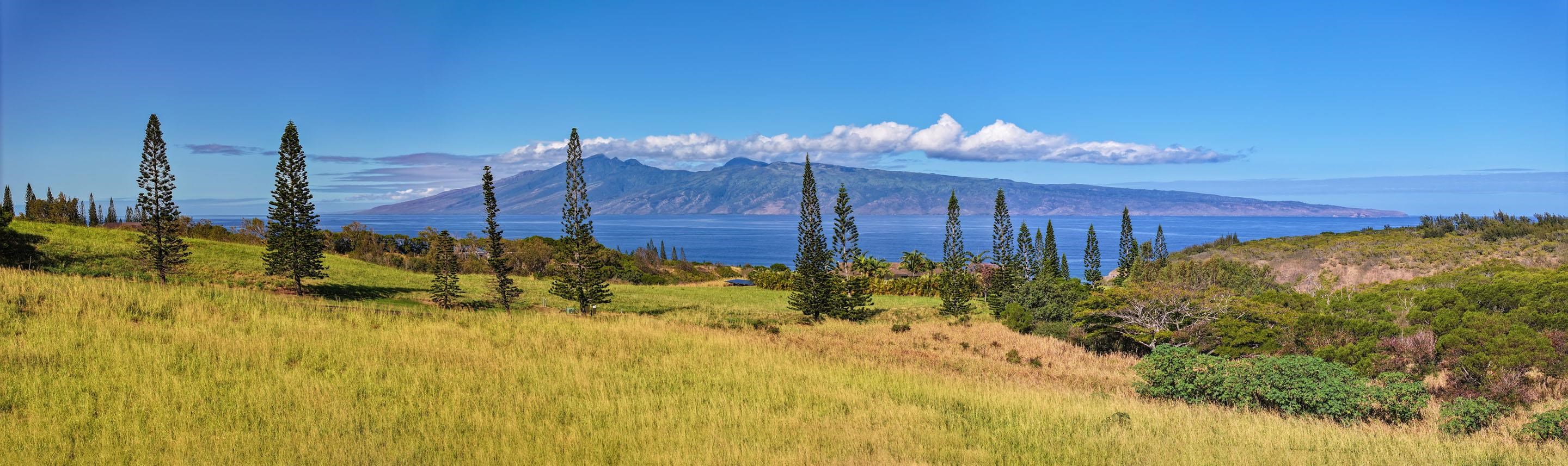 98 Keoawa Pl 8 Lahaina, Hi vacant land for sale - photo 16 of 44