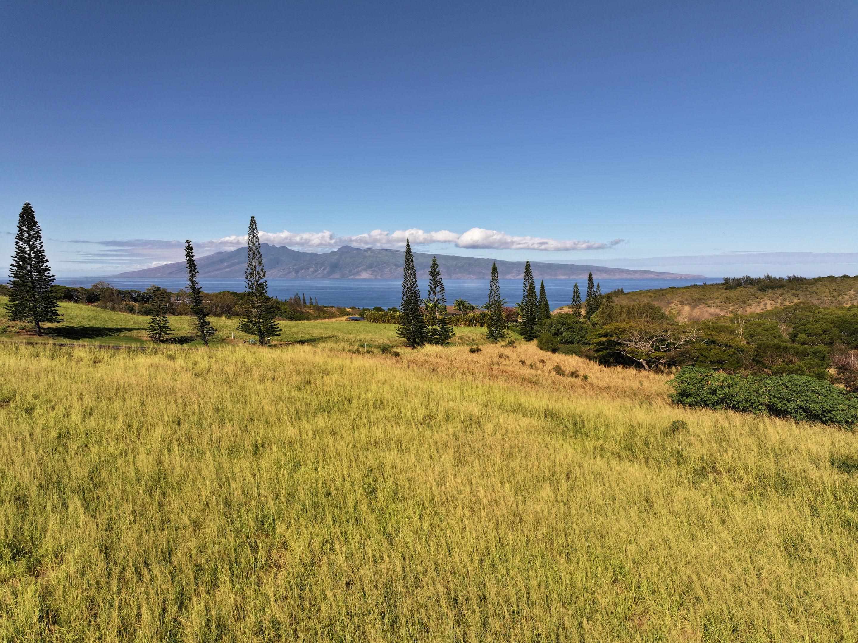 98 Keoawa Pl 8 Lahaina, Hi vacant land for sale - photo 17 of 44