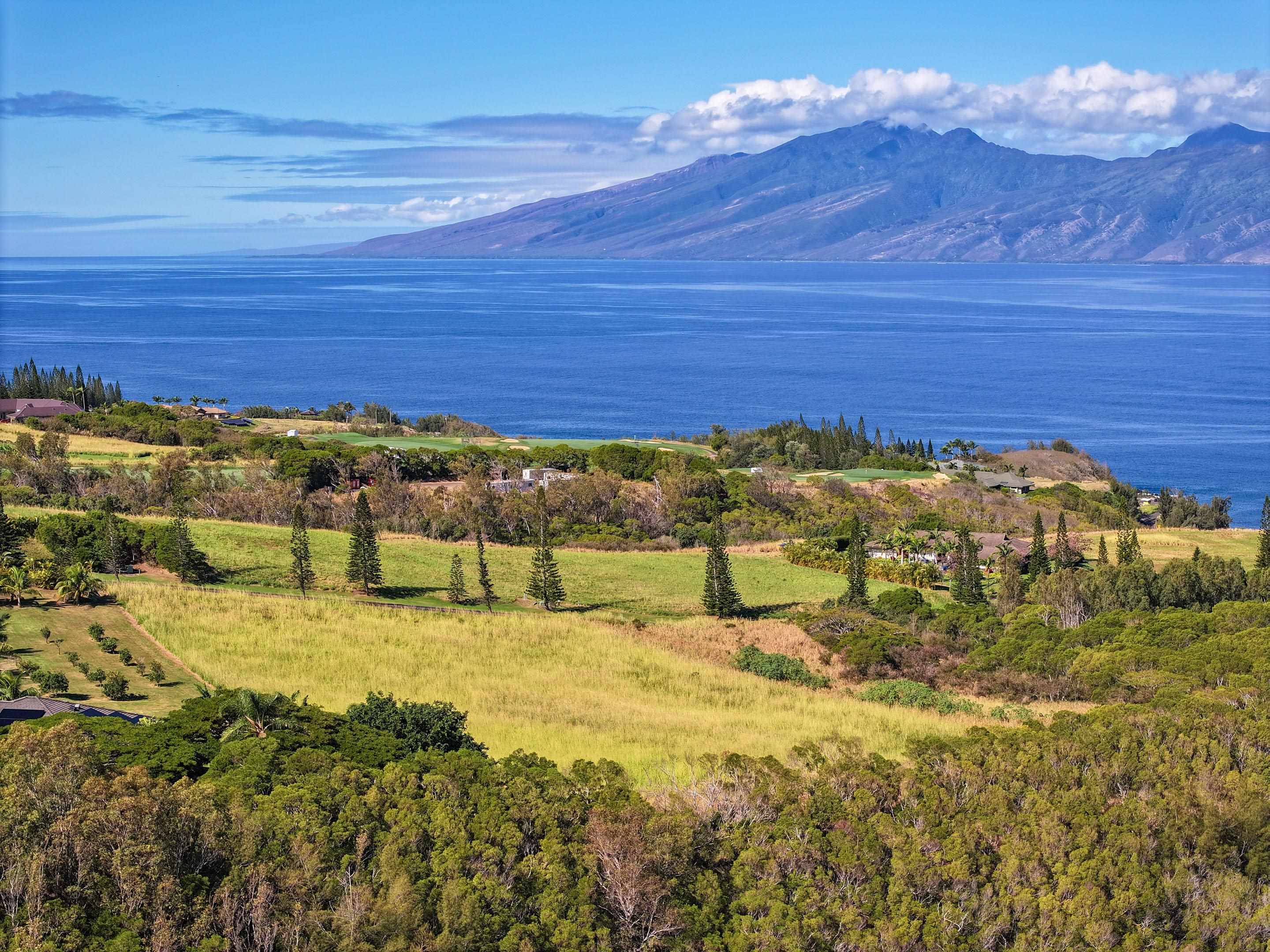 98 Keoawa Pl 8 Lahaina, Hi vacant land for sale - photo 3 of 44