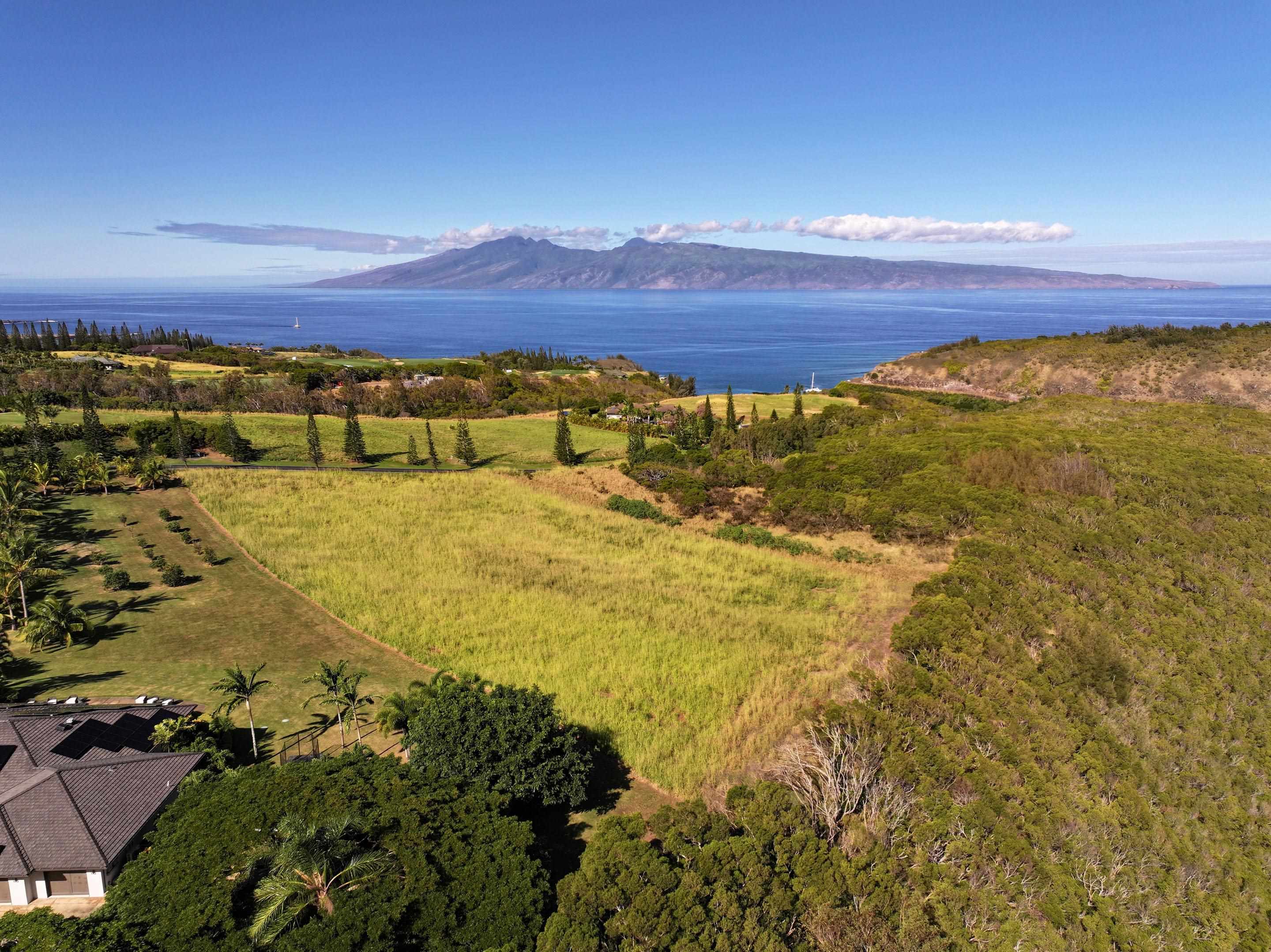 98 Keoawa Pl 8 Lahaina, Hi vacant land for sale - photo 23 of 44