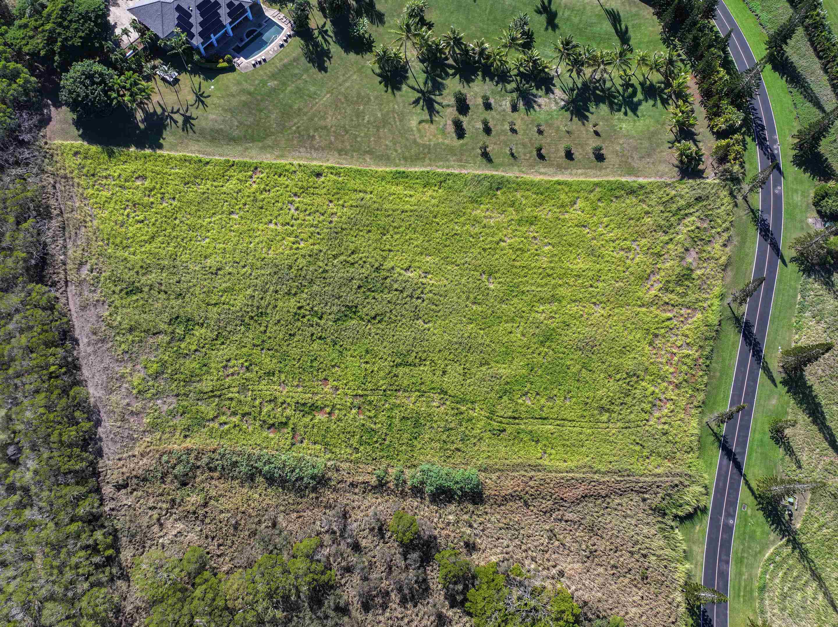 98 Keoawa Pl 8 Lahaina, Hi vacant land for sale - photo 4 of 44