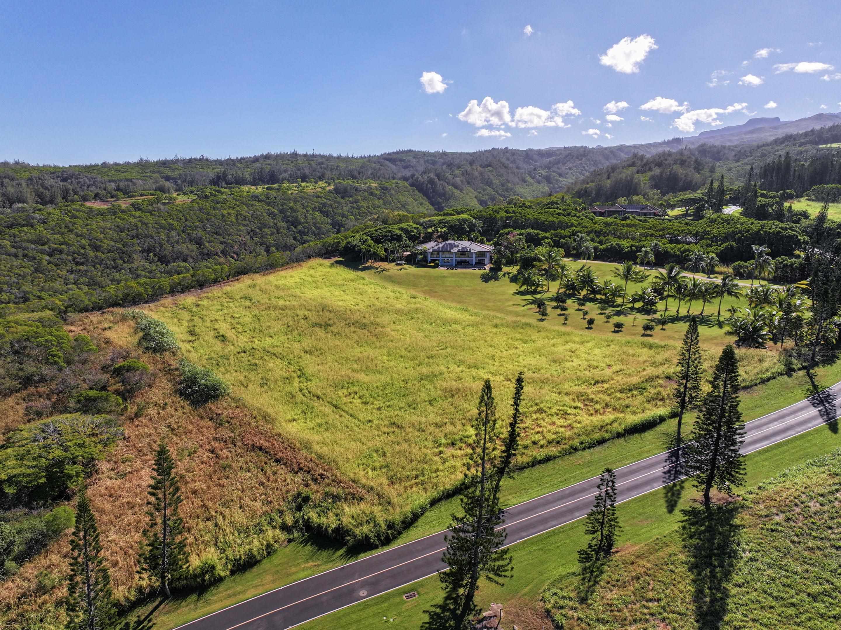 98 Keoawa Pl 8 Lahaina, Hi vacant land for sale - photo 31 of 44