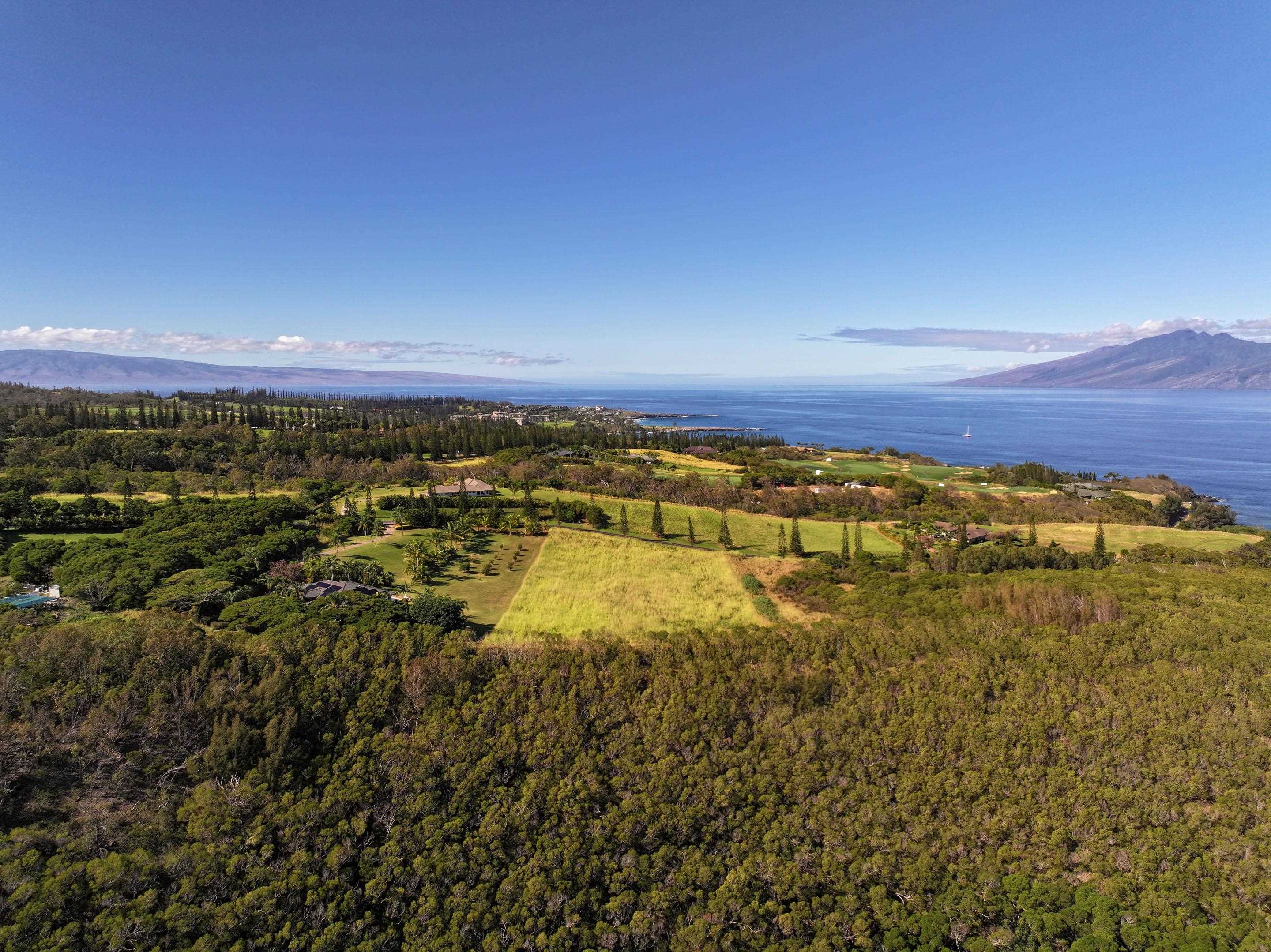 98 Keoawa Pl 8 Lahaina, Hi vacant land for sale - photo 32 of 44