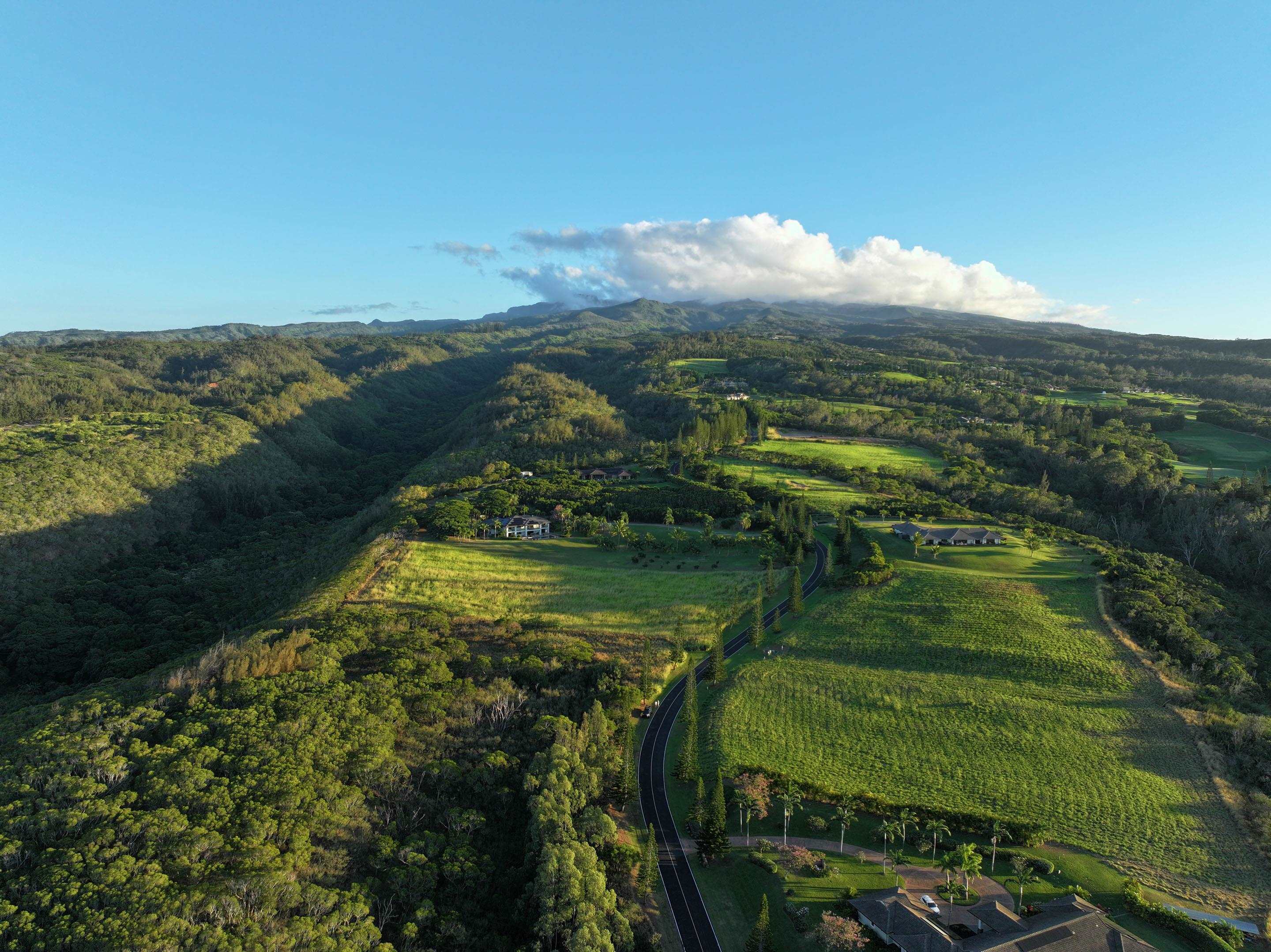 98 Keoawa Pl 8 Lahaina, Hi vacant land for sale - photo 33 of 44