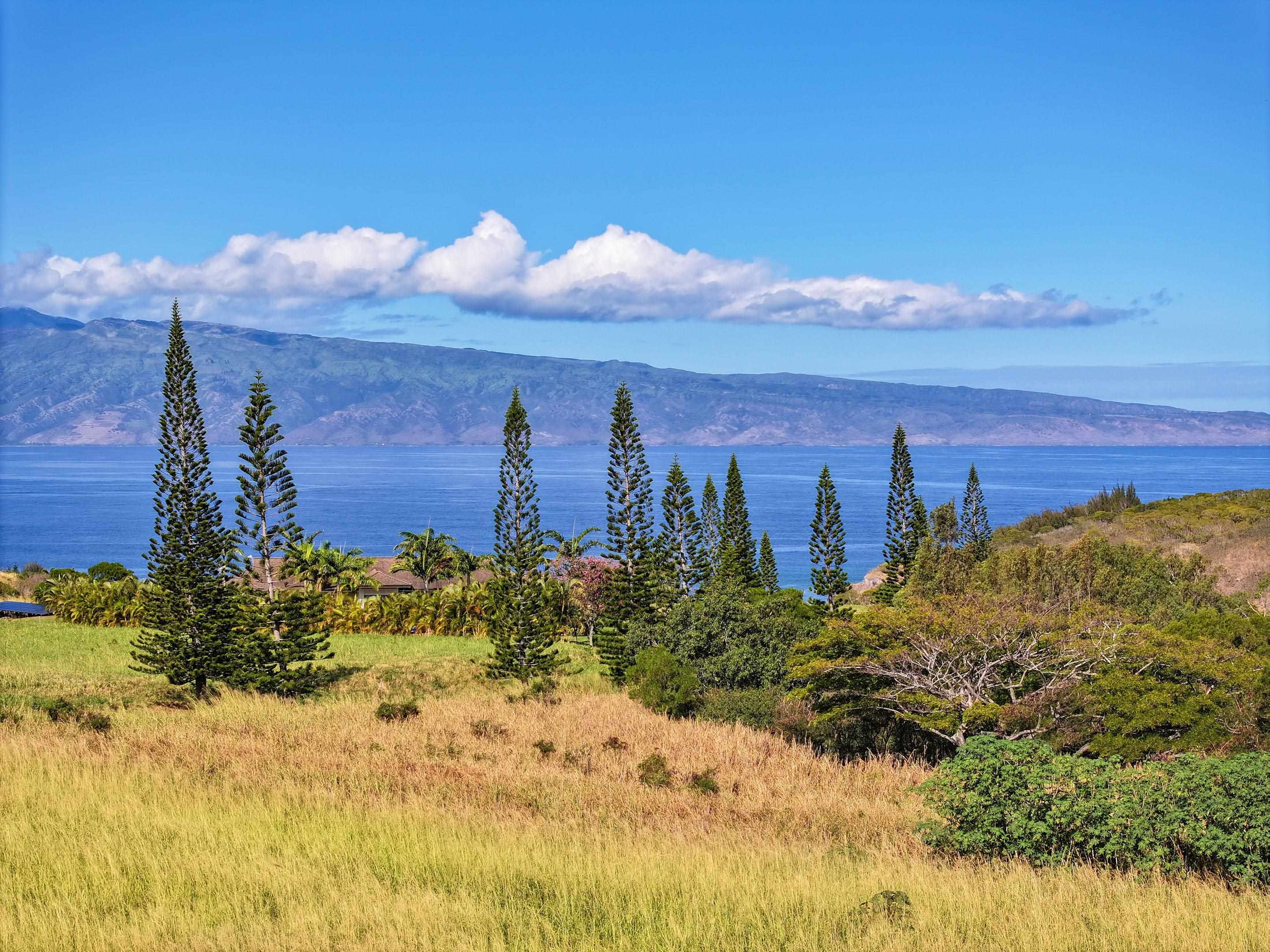 98 Keoawa Pl 8 Lahaina, Hi vacant land for sale - photo 35 of 44