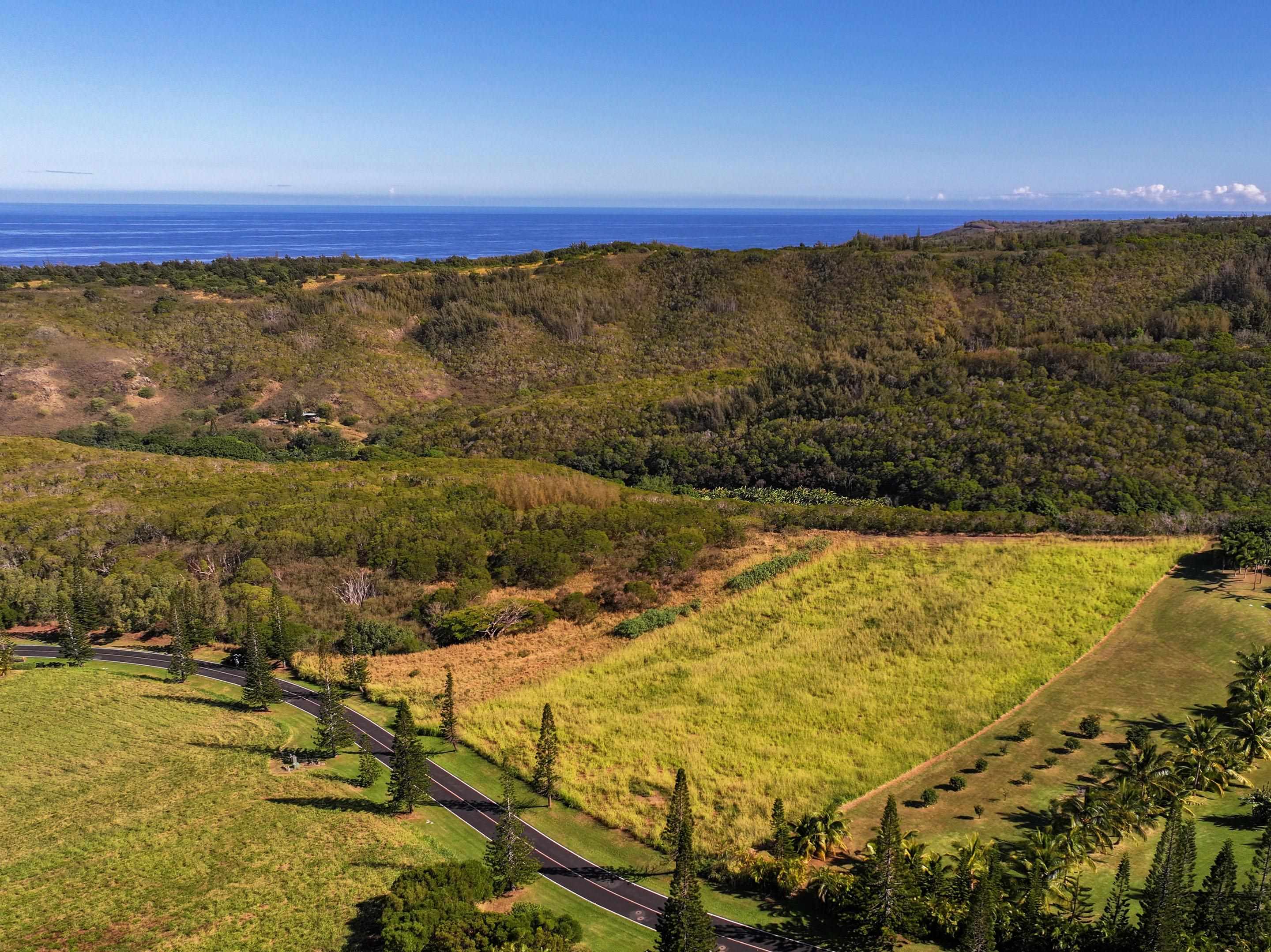 98 Keoawa Pl 8 Lahaina, Hi vacant land for sale - photo 36 of 44