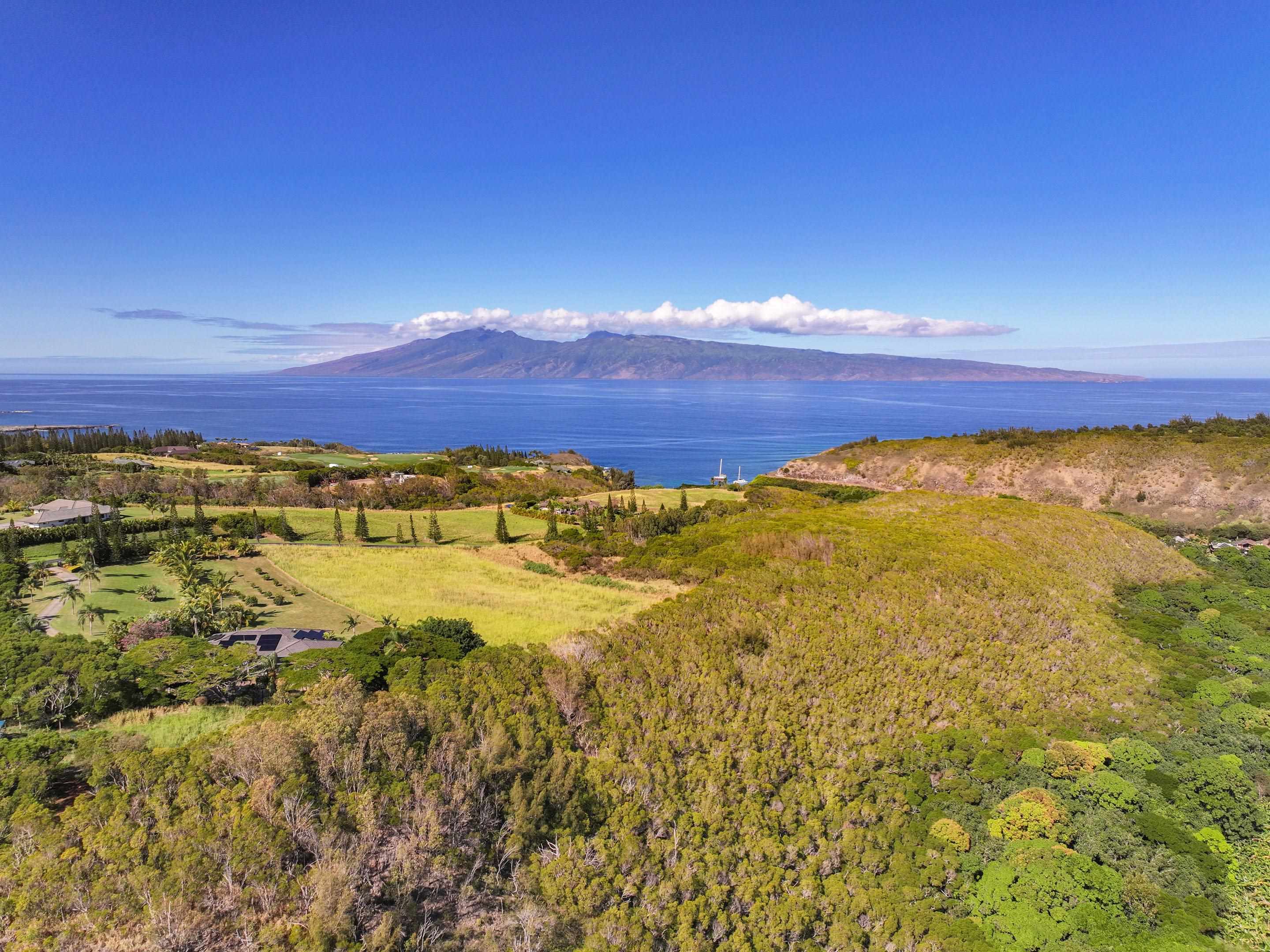 98 Keoawa Pl 8 Lahaina, Hi vacant land for sale - photo 38 of 44