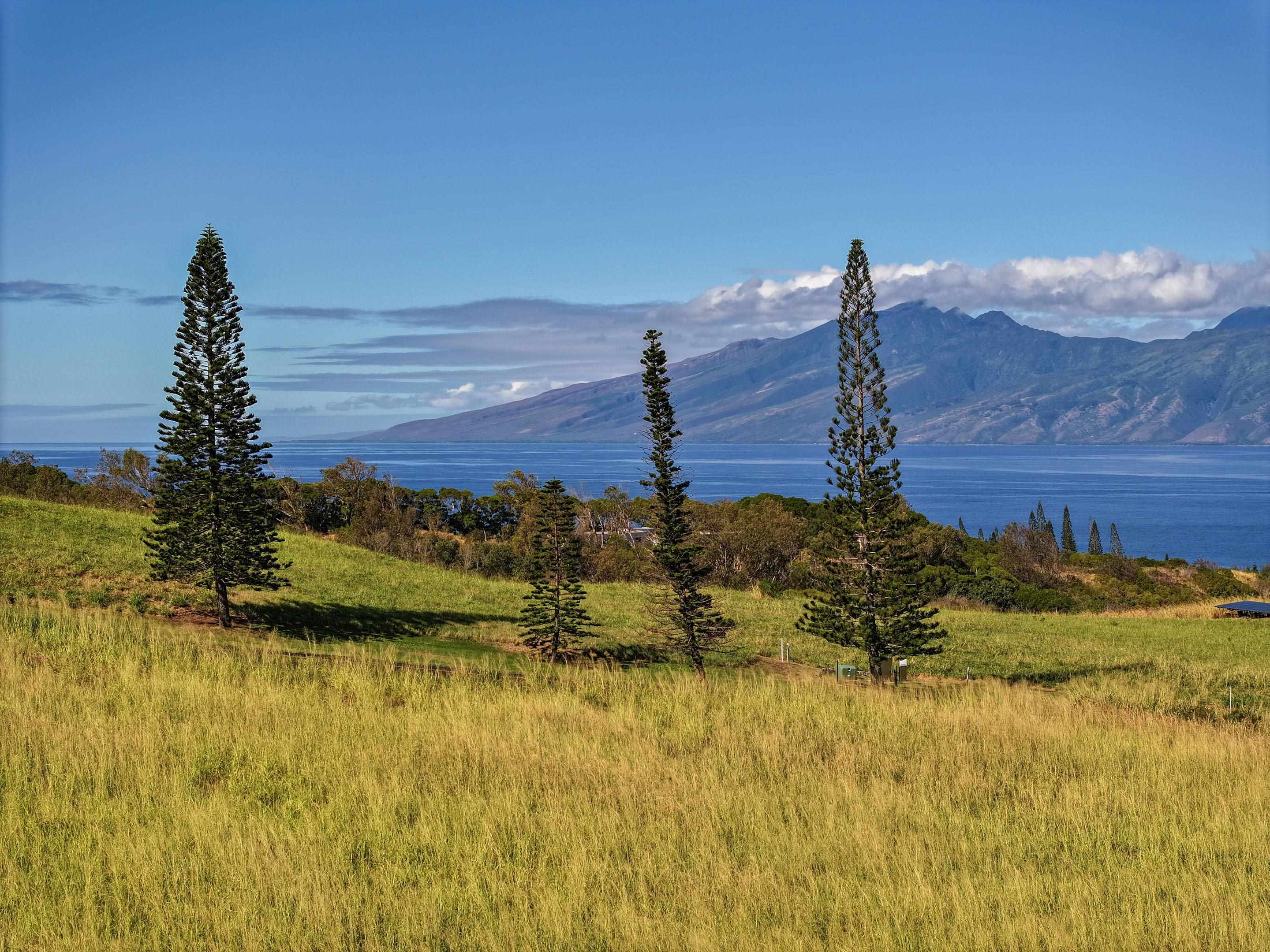 98 Keoawa Pl 8 Lahaina, Hi vacant land for sale - photo 40 of 44