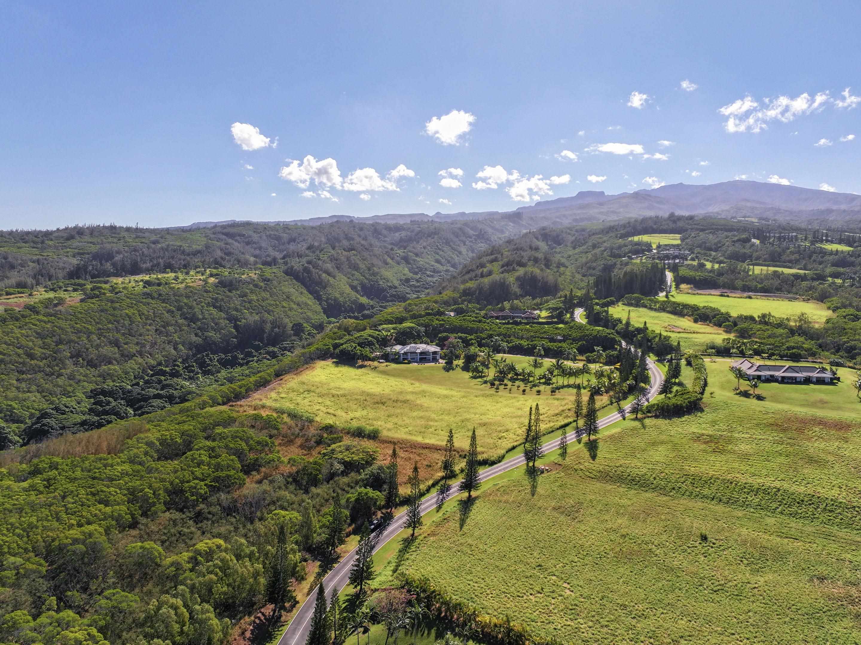 98 Keoawa Pl 8 Lahaina, Hi vacant land for sale - photo 5 of 44