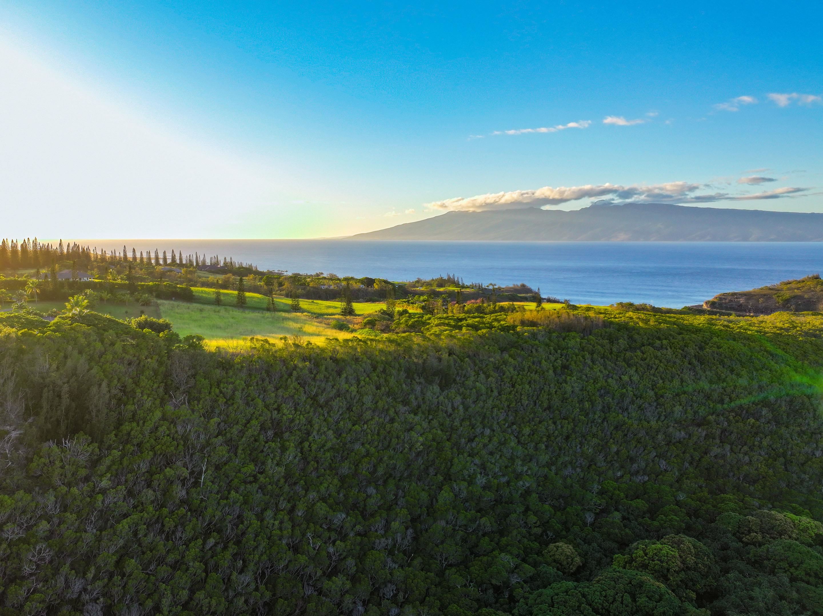 98 Keoawa Pl 8 Lahaina, Hi vacant land for sale - photo 44 of 44