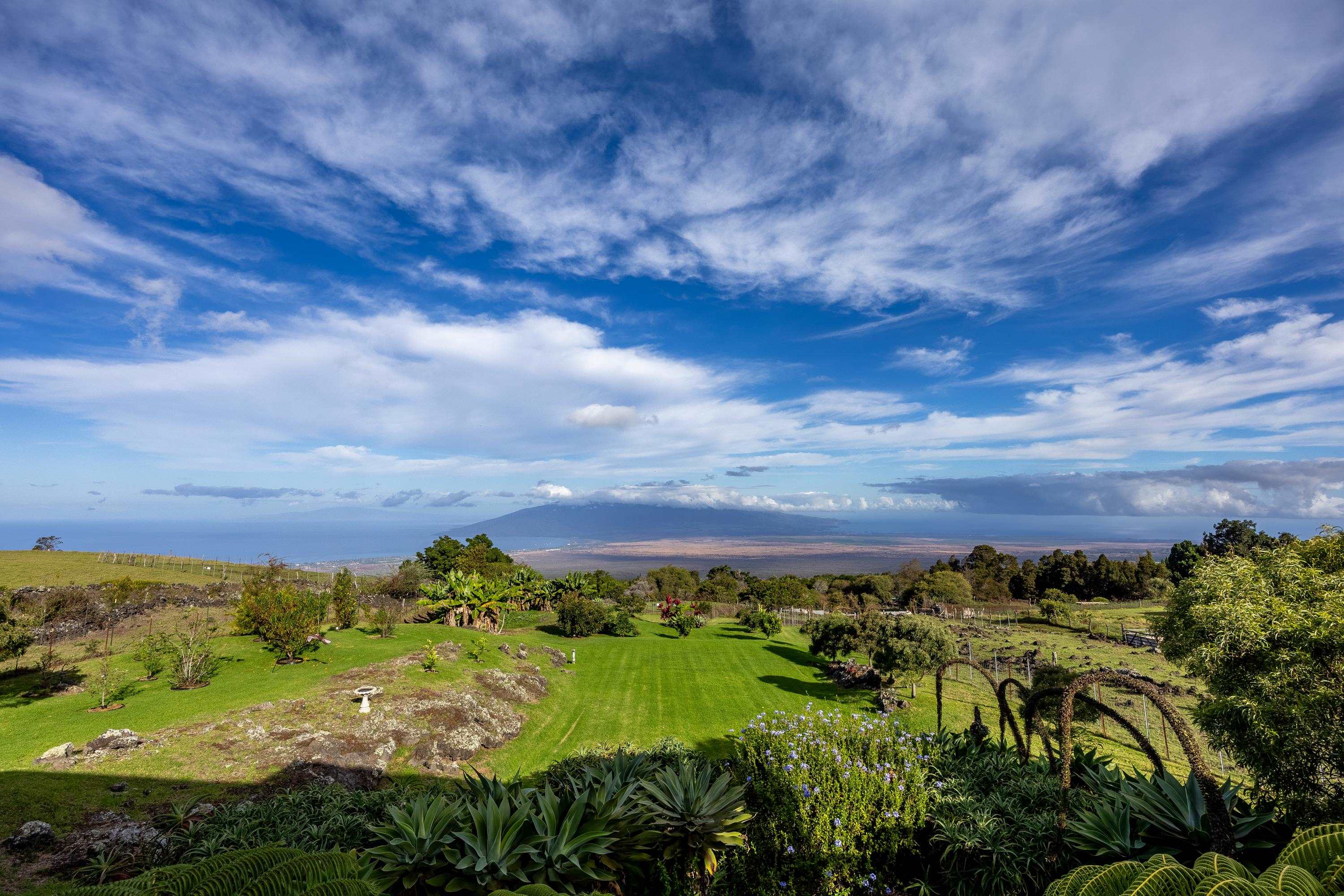 980  Polipoli Rd , Kula/Ulupalakua/Kanaio home - photo 26 of 50
