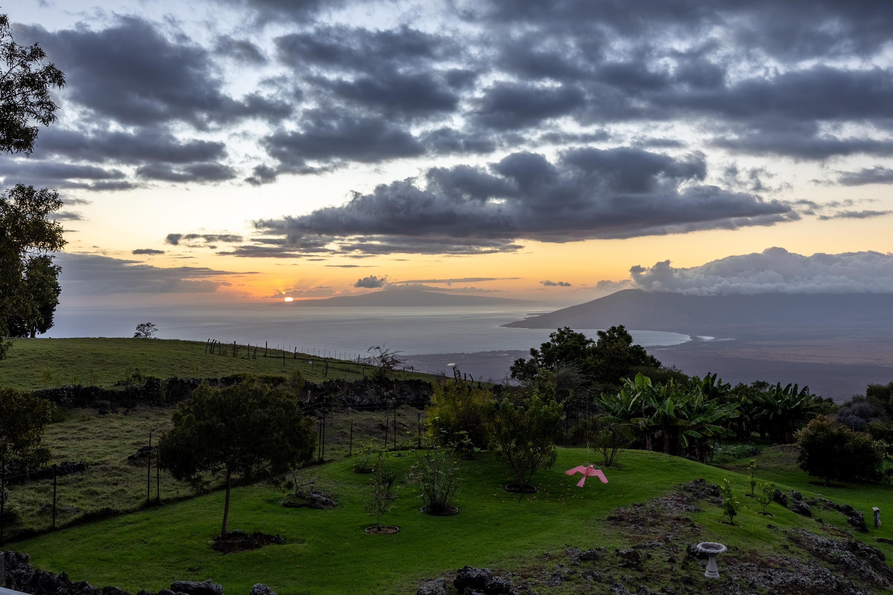 980  Polipoli Rd , Kula/Ulupalakua/Kanaio home - photo 41 of 50