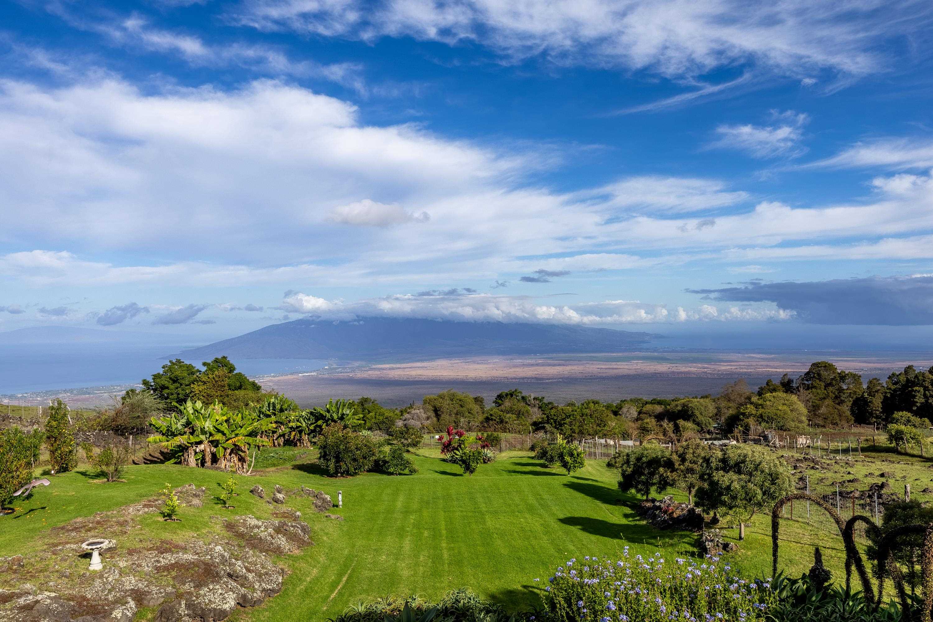 980  Polipoli Rd , Kula/Ulupalakua/Kanaio home - photo 7 of 50