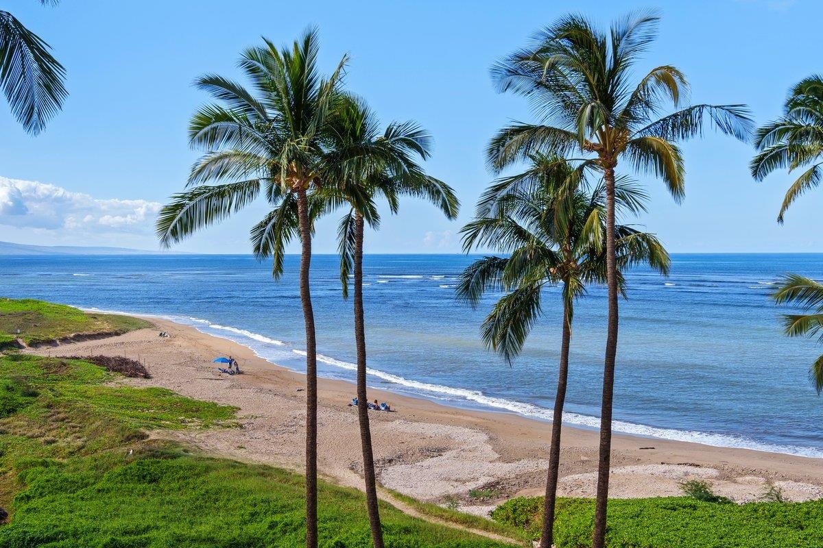 99  Honuea Pl Honu Alahele, Kihei home - photo 4 of 50