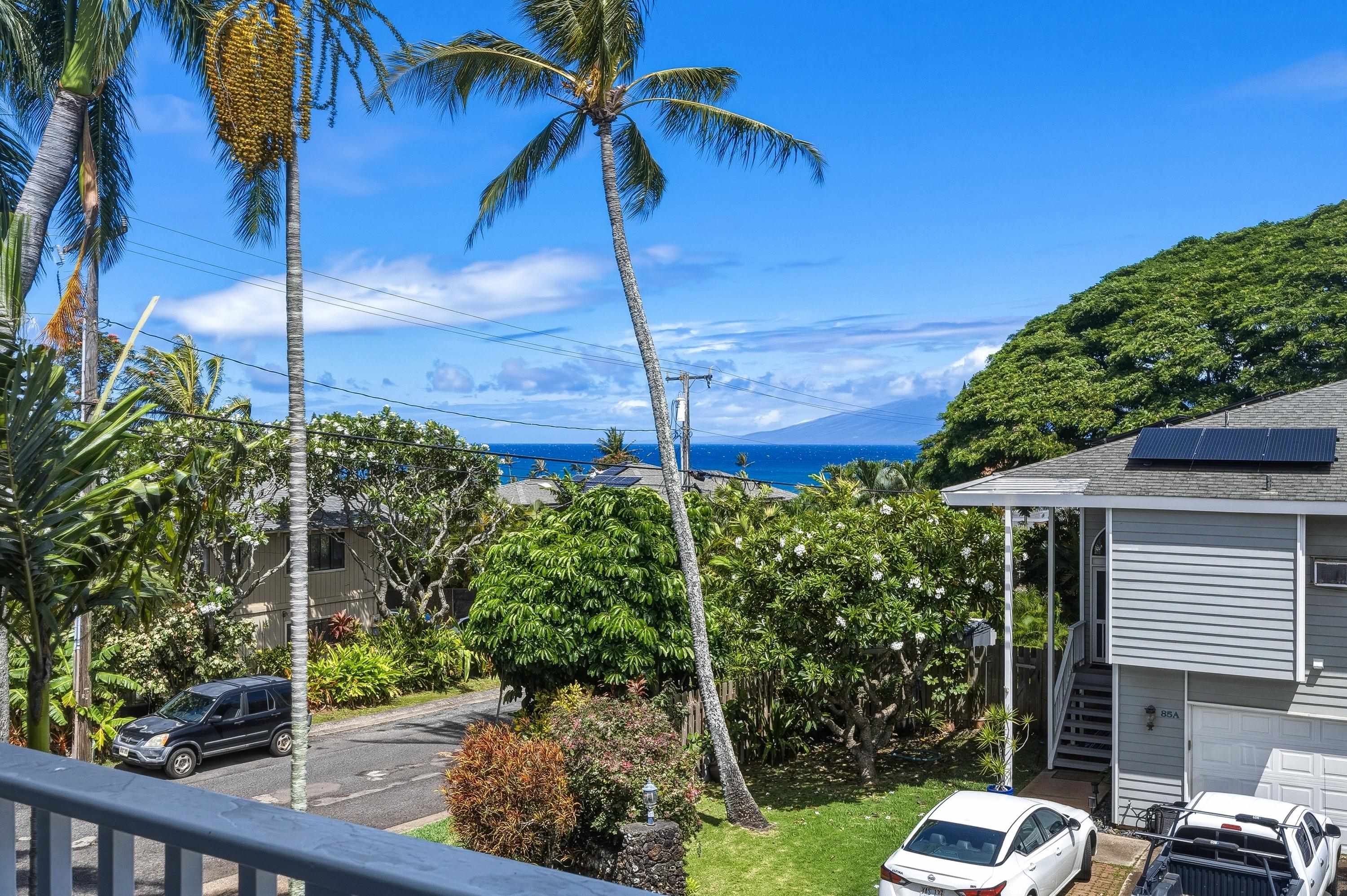99  Hui F Rd Napili, Napili/Kahana/Honokowai home - photo 41 of 50