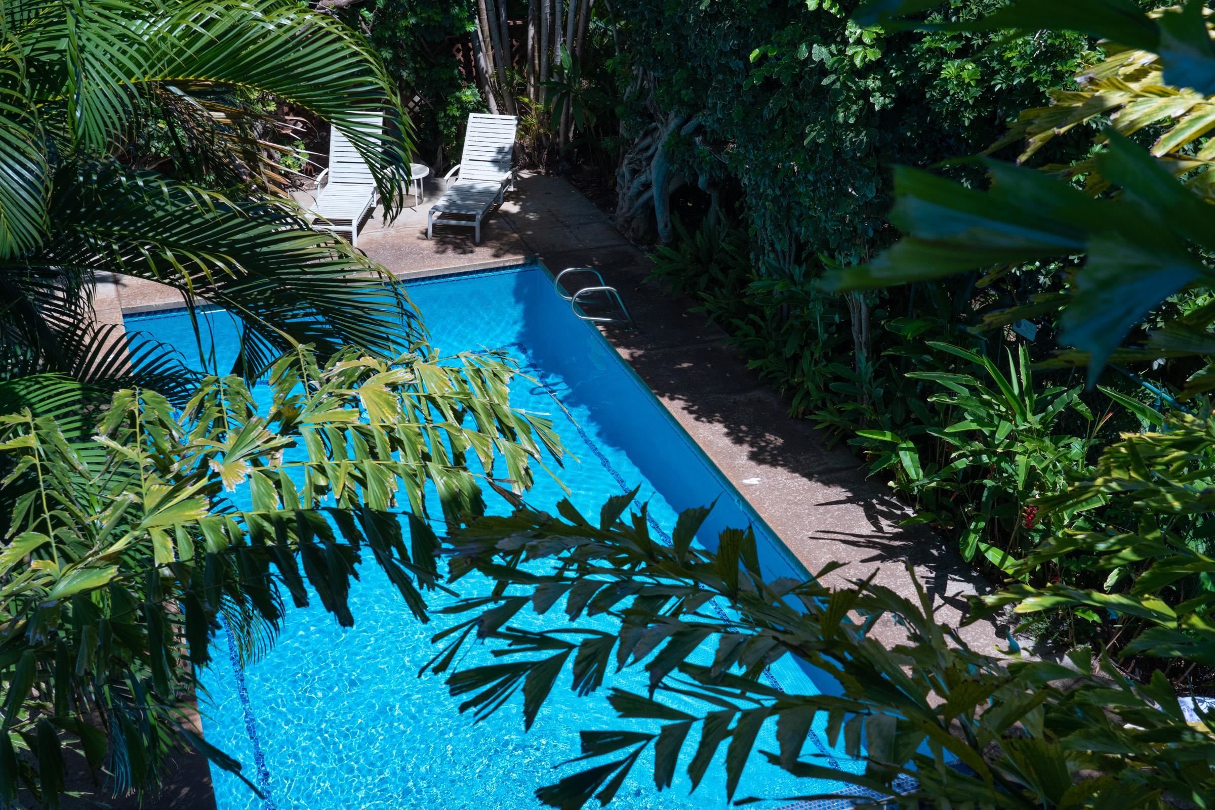 Koa Kai condo # 16, Kihei, Hawaii - photo 19 of 20