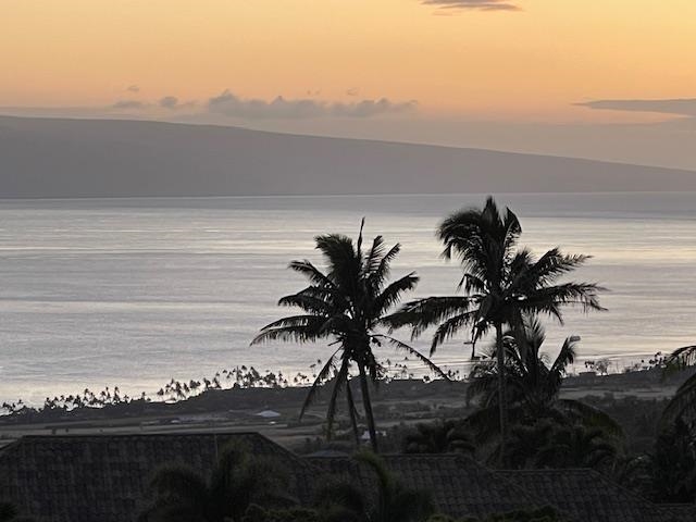 991 Unit A Kai Hele Ku Pl 037 Lahaina, Hi vacant land for sale - photo 11 of 19