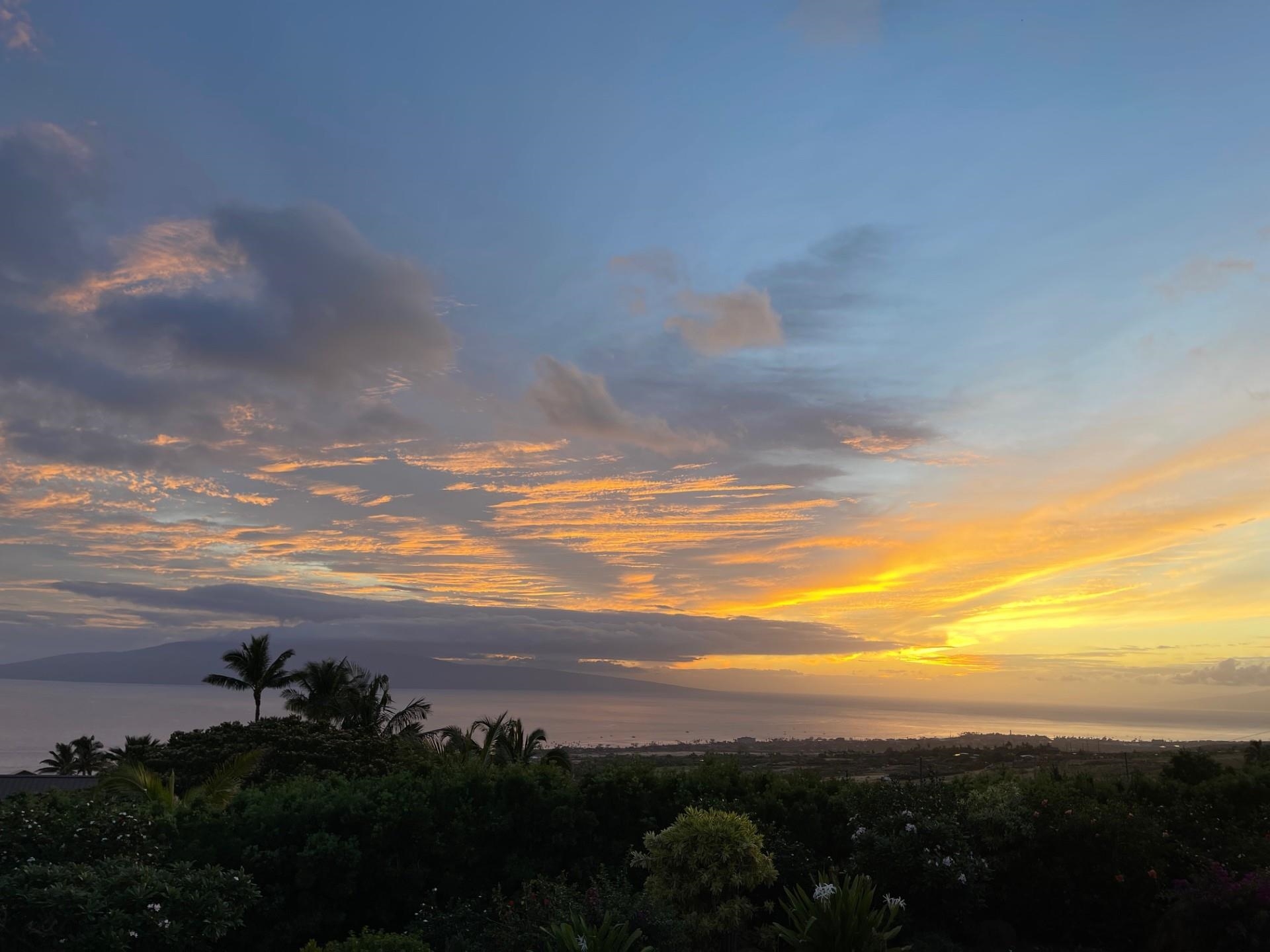 991 Unit A Kai Hele Ku Pl 037 Lahaina, Hi vacant land for sale - photo 13 of 19