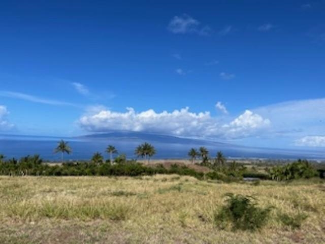 991 Unit A Kai Hele Ku Pl 037 Lahaina, Hi vacant land for sale - photo 4 of 19