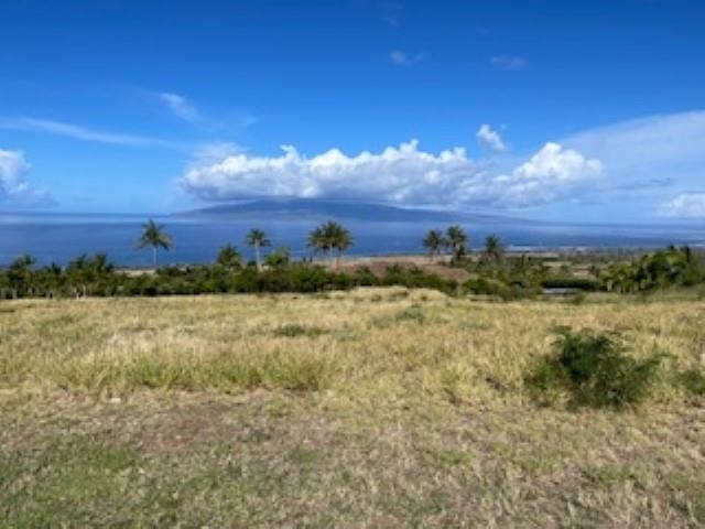 991 Unit A Kai Hele Ku Pl 037 Lahaina, Hi vacant land for sale - photo 9 of 19