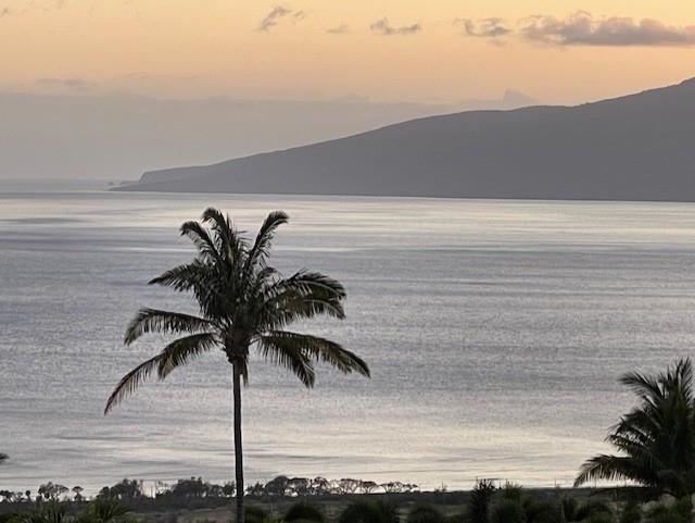 991 Unit A Kai Hele Ku Pl 037 Lahaina, Hi vacant land for sale - photo 10 of 19