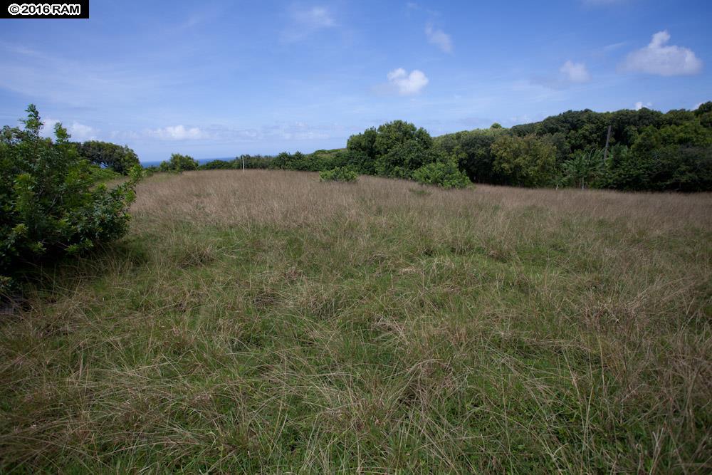 994 N Honokala Rd  , Hi vacant land for sale - photo 16 of 20