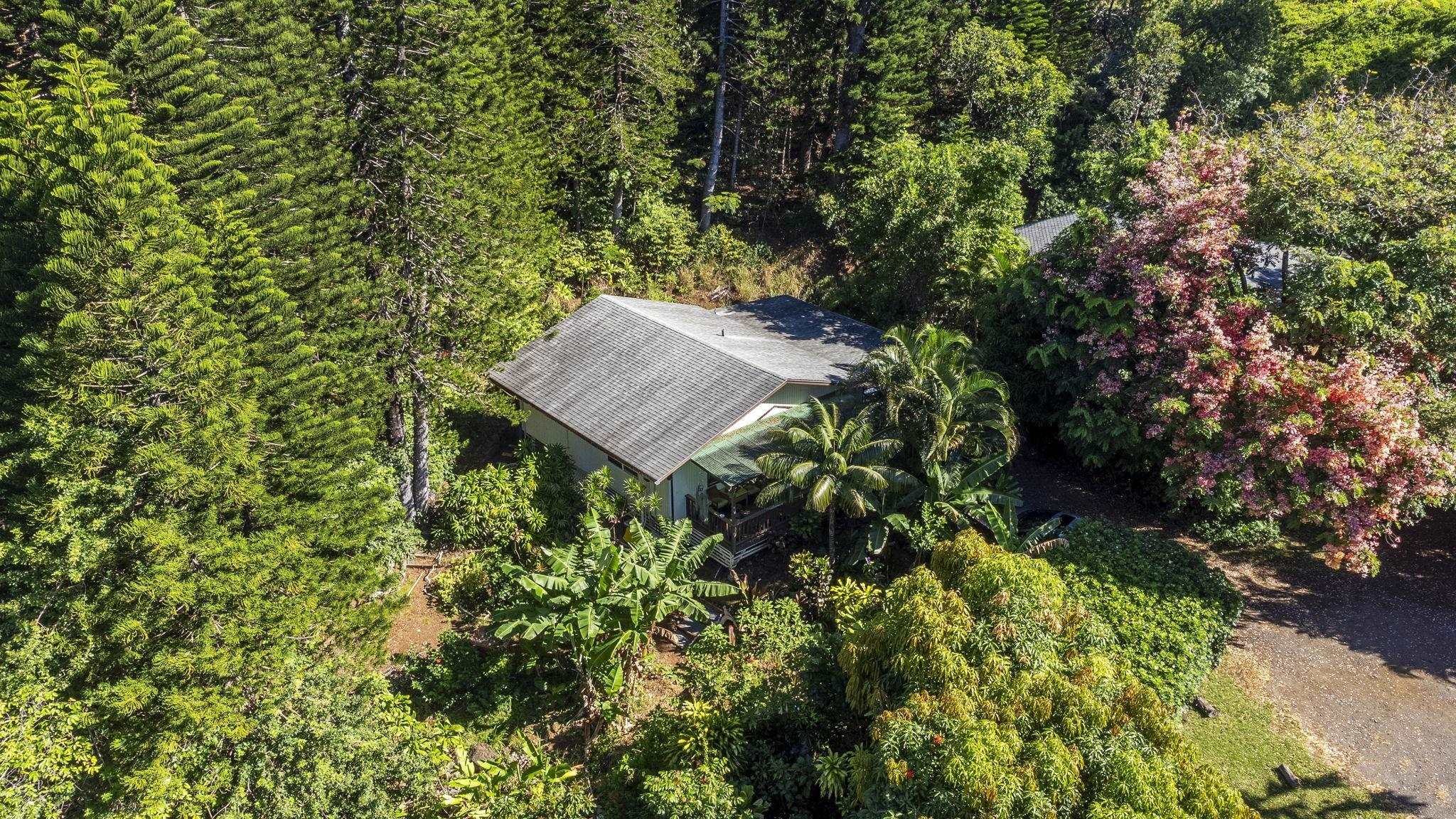 998  Kauhikoa Rd Kauhikoa, Haiku home - photo 14 of 42