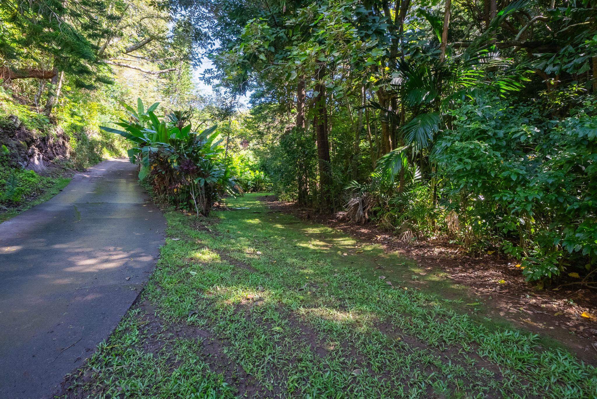 998  Kauhikoa Rd Kauhikoa, Haiku home - photo 22 of 42