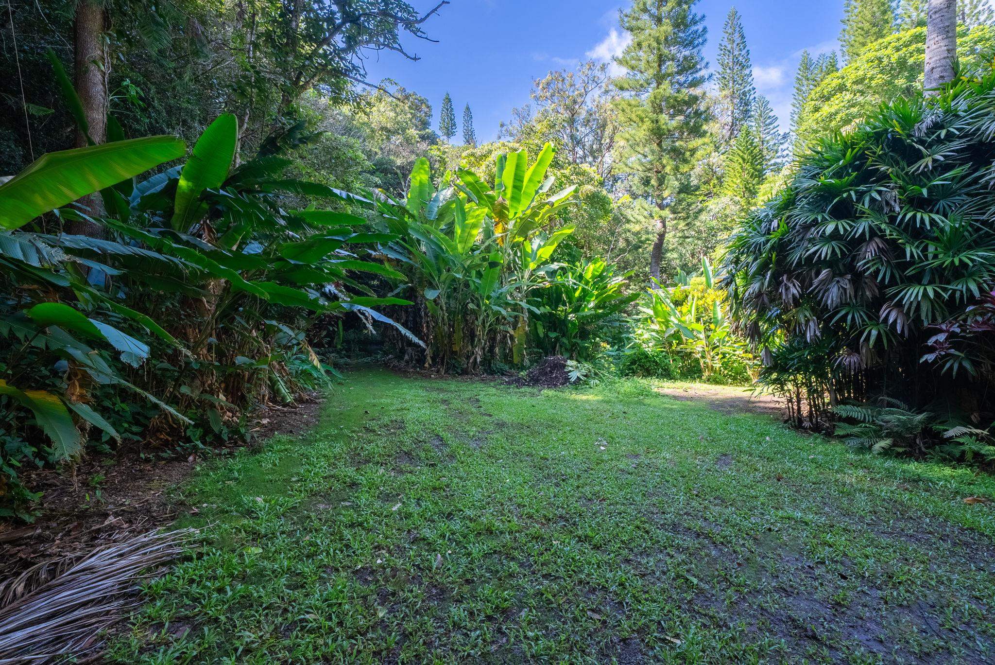 998  Kauhikoa Rd Kauhikoa, Haiku home - photo 22 of 41