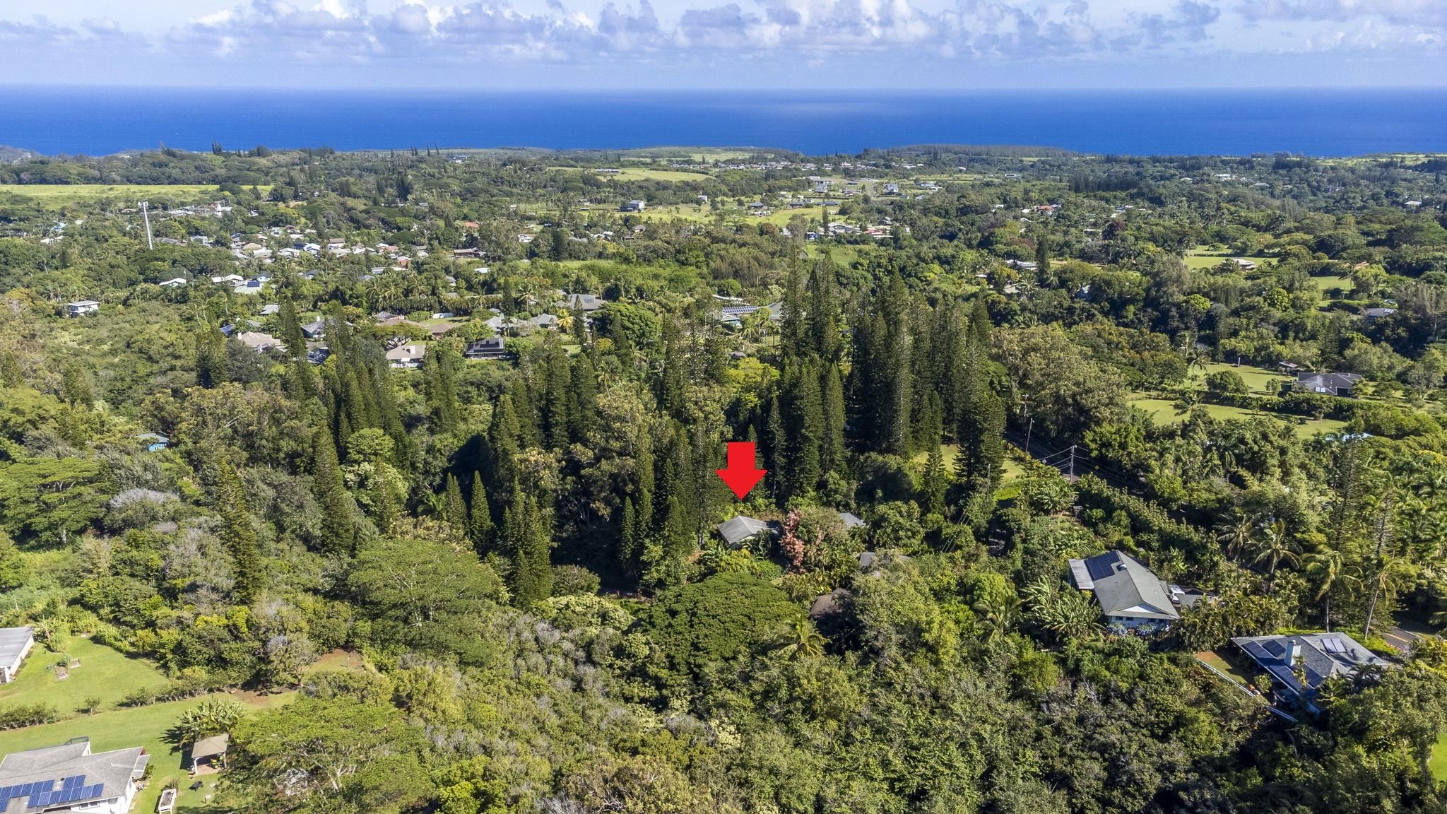 998  Kauhikoa Rd Kauhikoa, Haiku home - photo 24 of 42