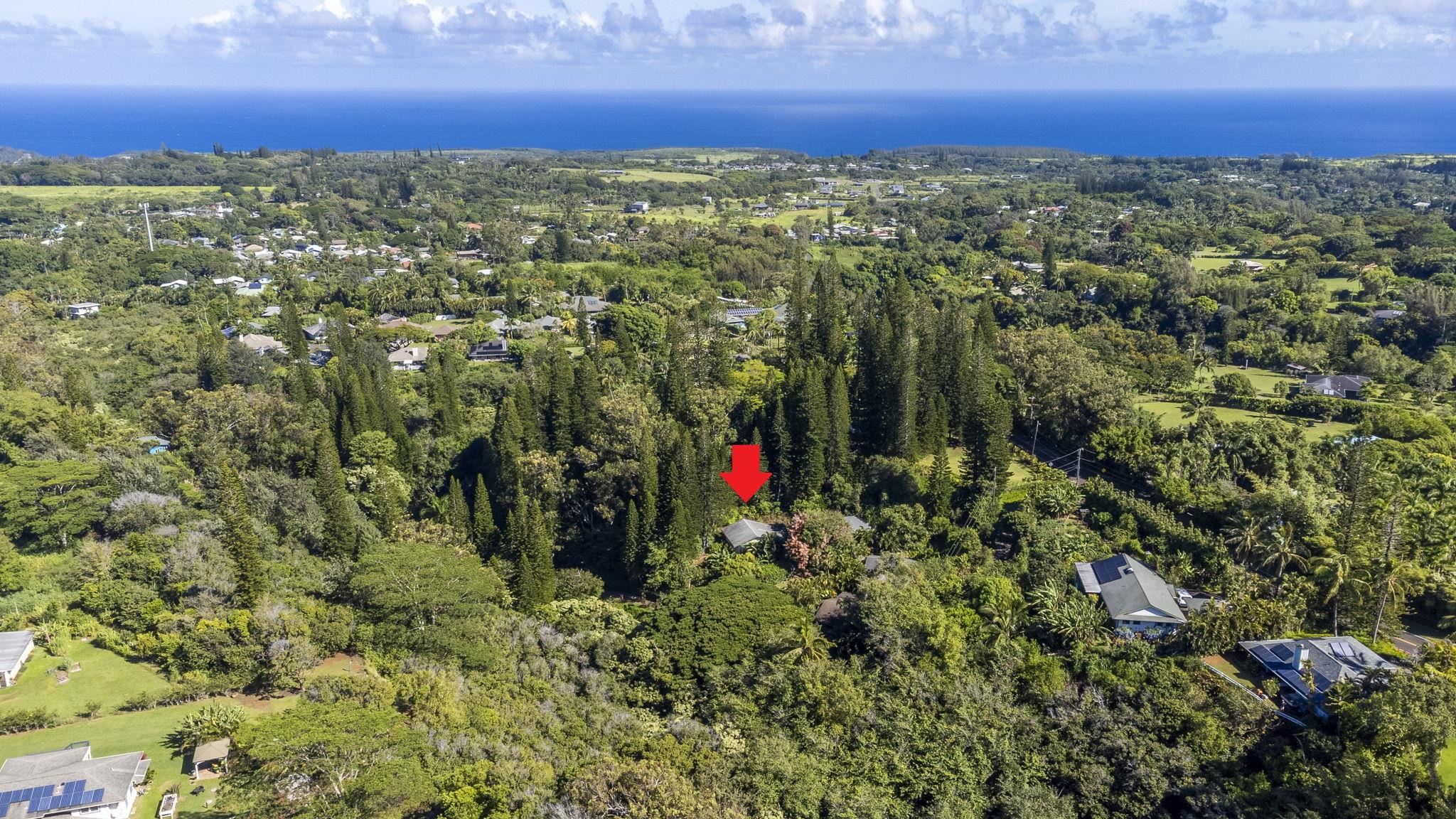 998  Kauhikoa Rd Kauhikoa, Haiku home - photo 25 of 41